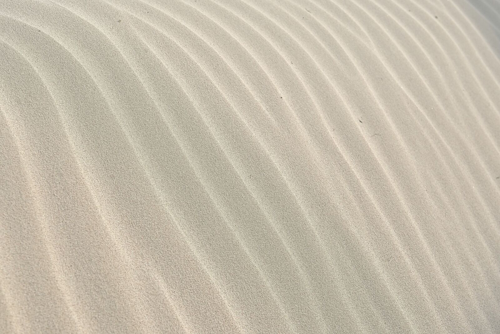 Nikon D800 sample photo. Sand, pattern, wave photography