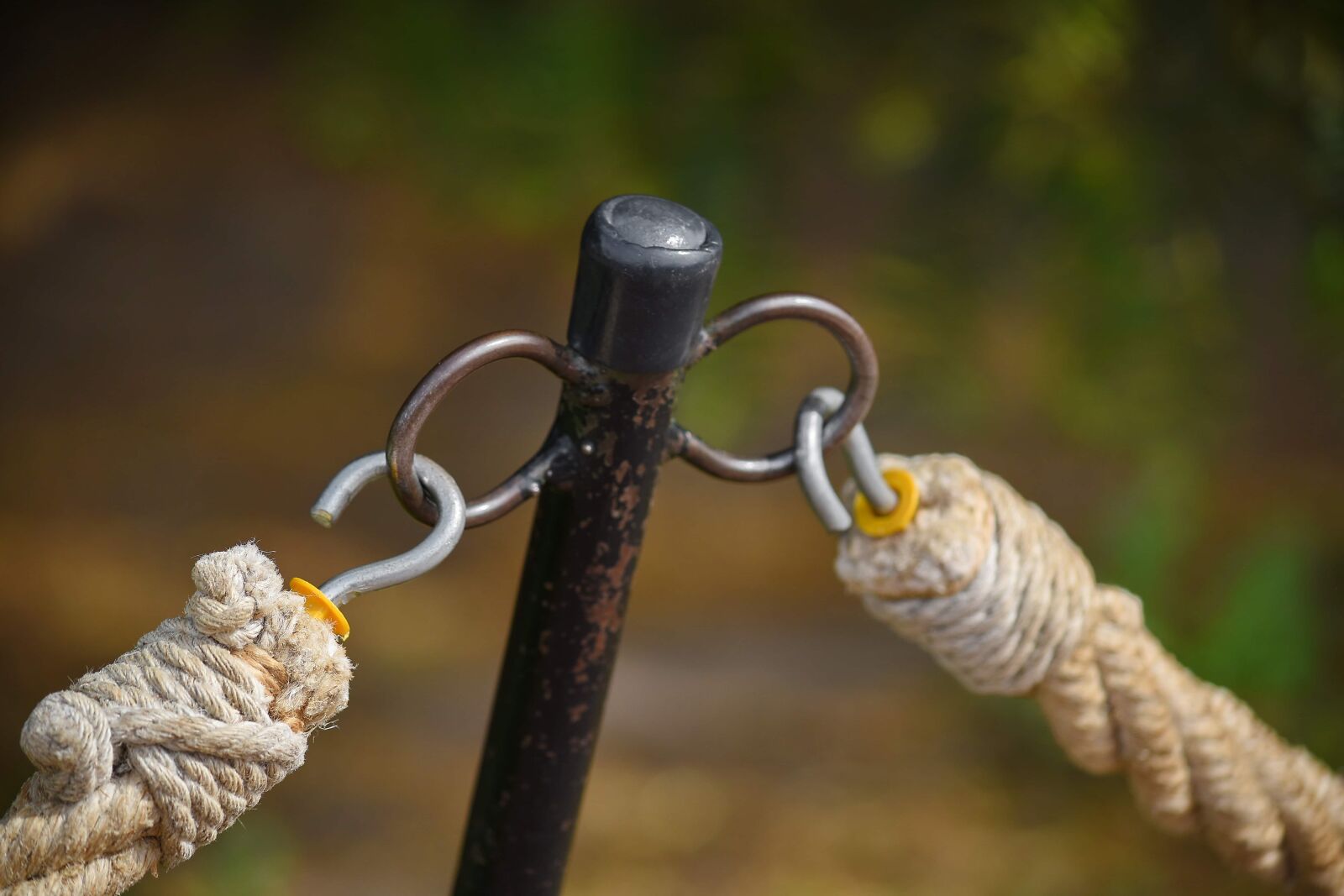 Nikon D5500 sample photo. Hook, fastener, rope, nature photography