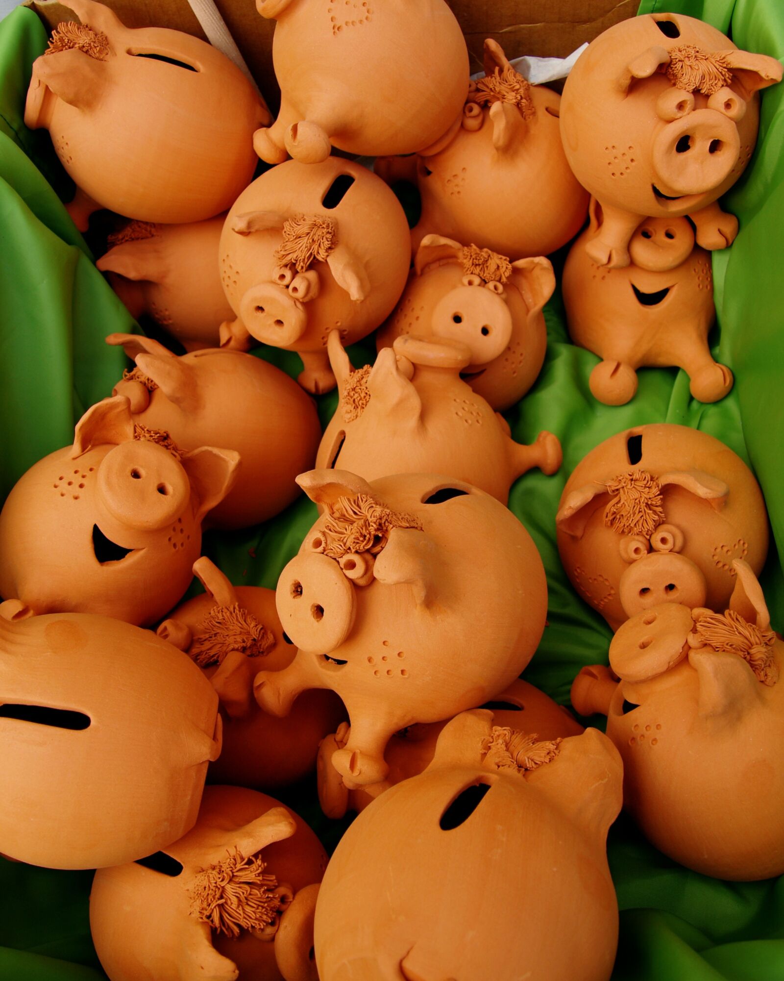 Olympus E-330 (EVOLT E-330) sample photo. Gift, pig, funny photography