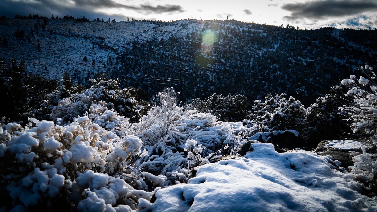 Sony E 18-200mm F3.5-6.3 OSS sample photo. Snow, frozen, frosty photography