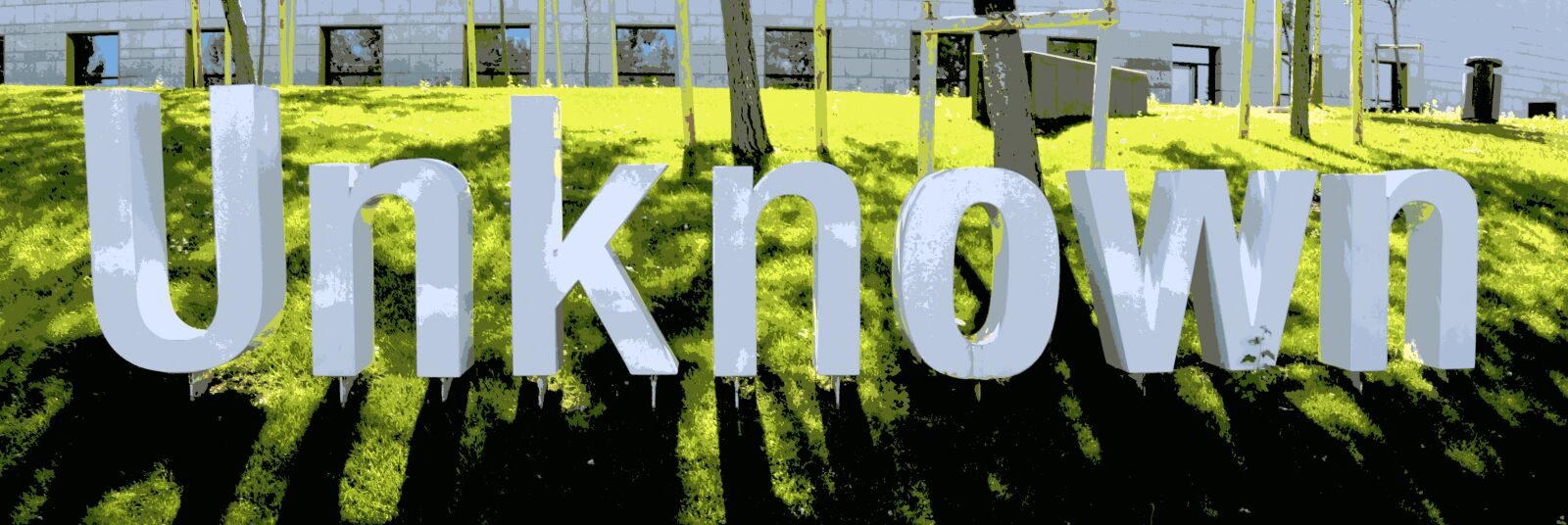Nikon D5100 sample photo. Unknown, art, externally photography