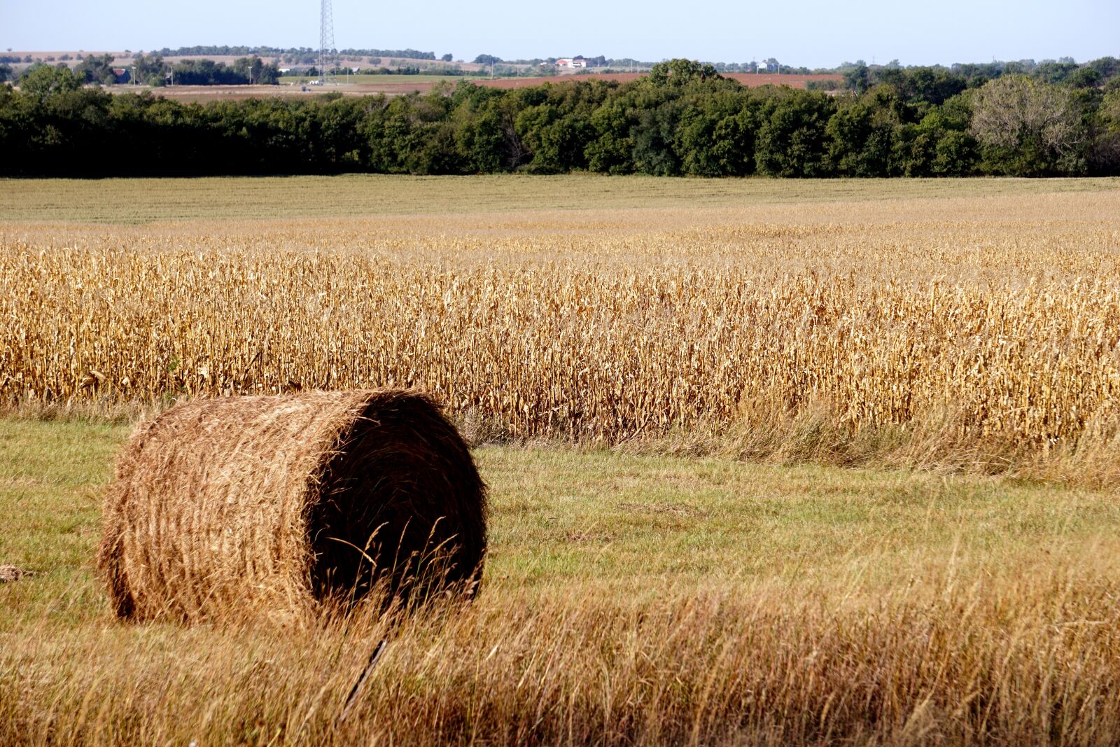 Sony E 55-210mm F4.5-6.3 OSS sample photo. Hay, kansas, rural photography