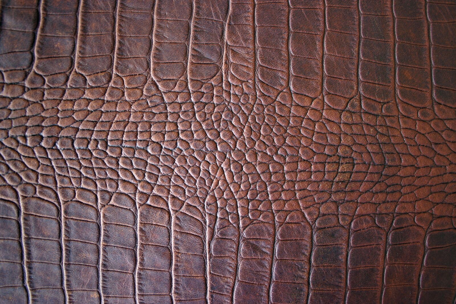 Canon EOS 300D (EOS Digital Rebel / EOS Kiss Digital) sample photo. Brown leather, structure, detail photography