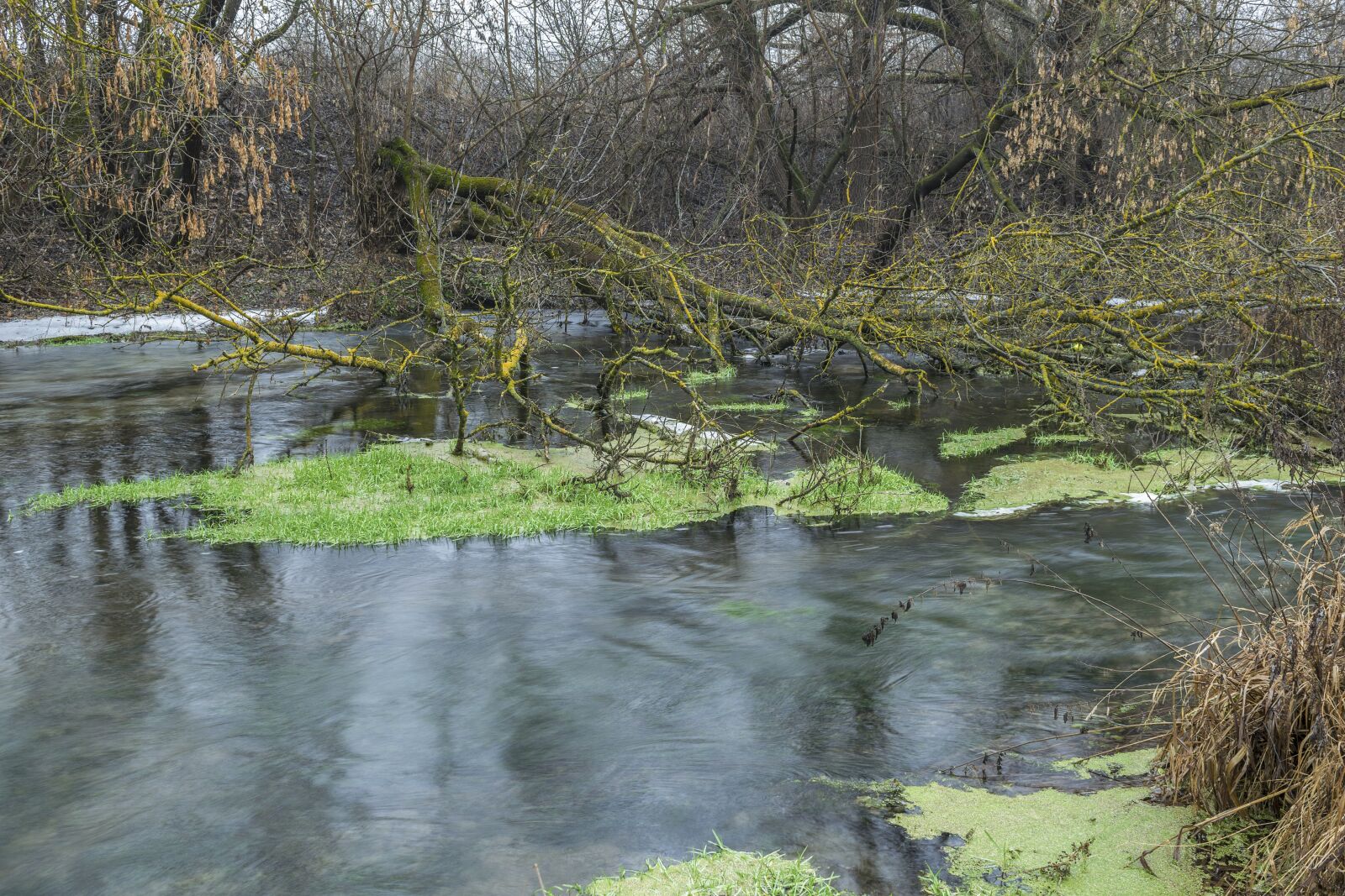 Nikon D3300 sample photo. Landscape, winter, small river photography
