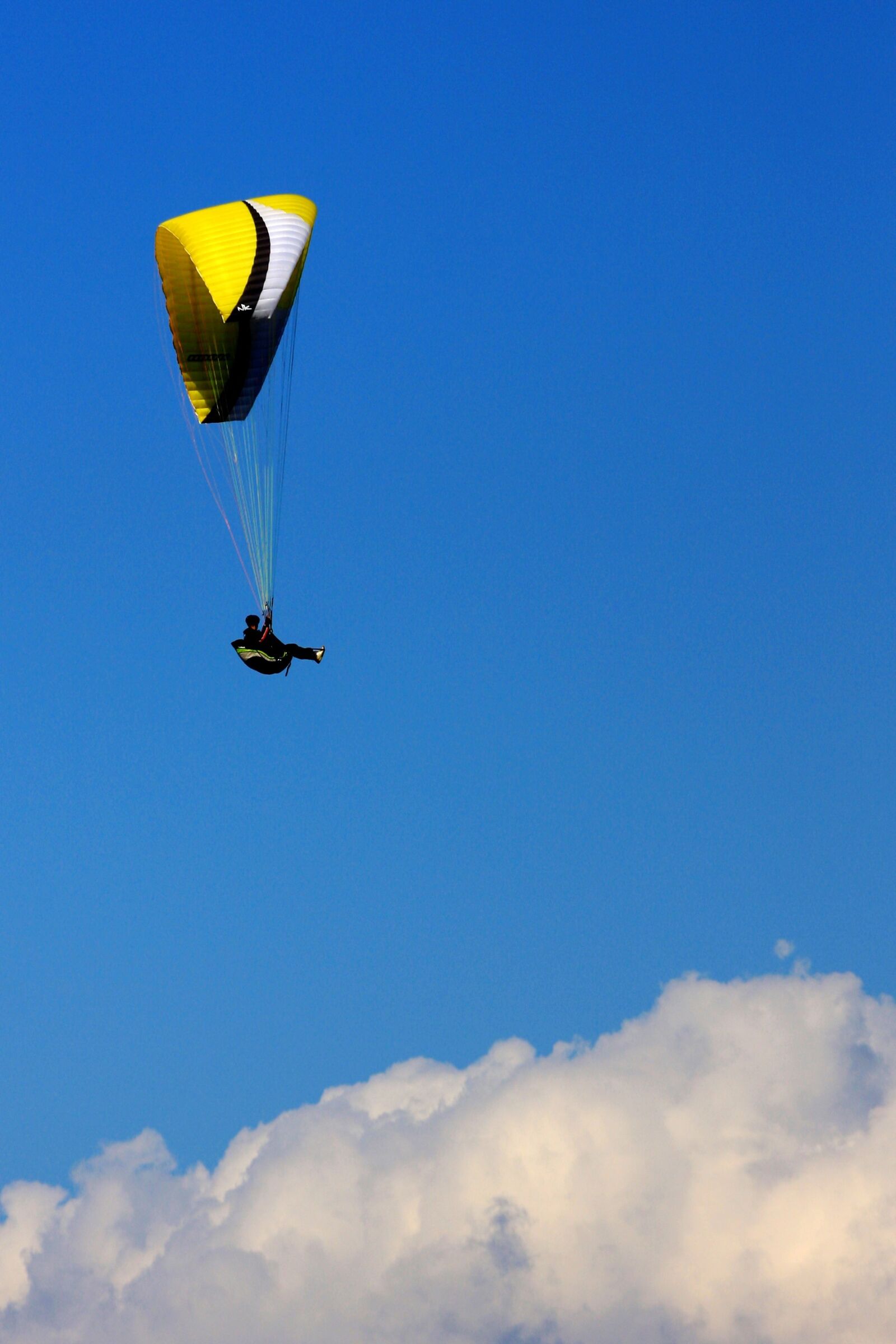 Canon EOS 40D sample photo. Freedom, parachute, sky photography