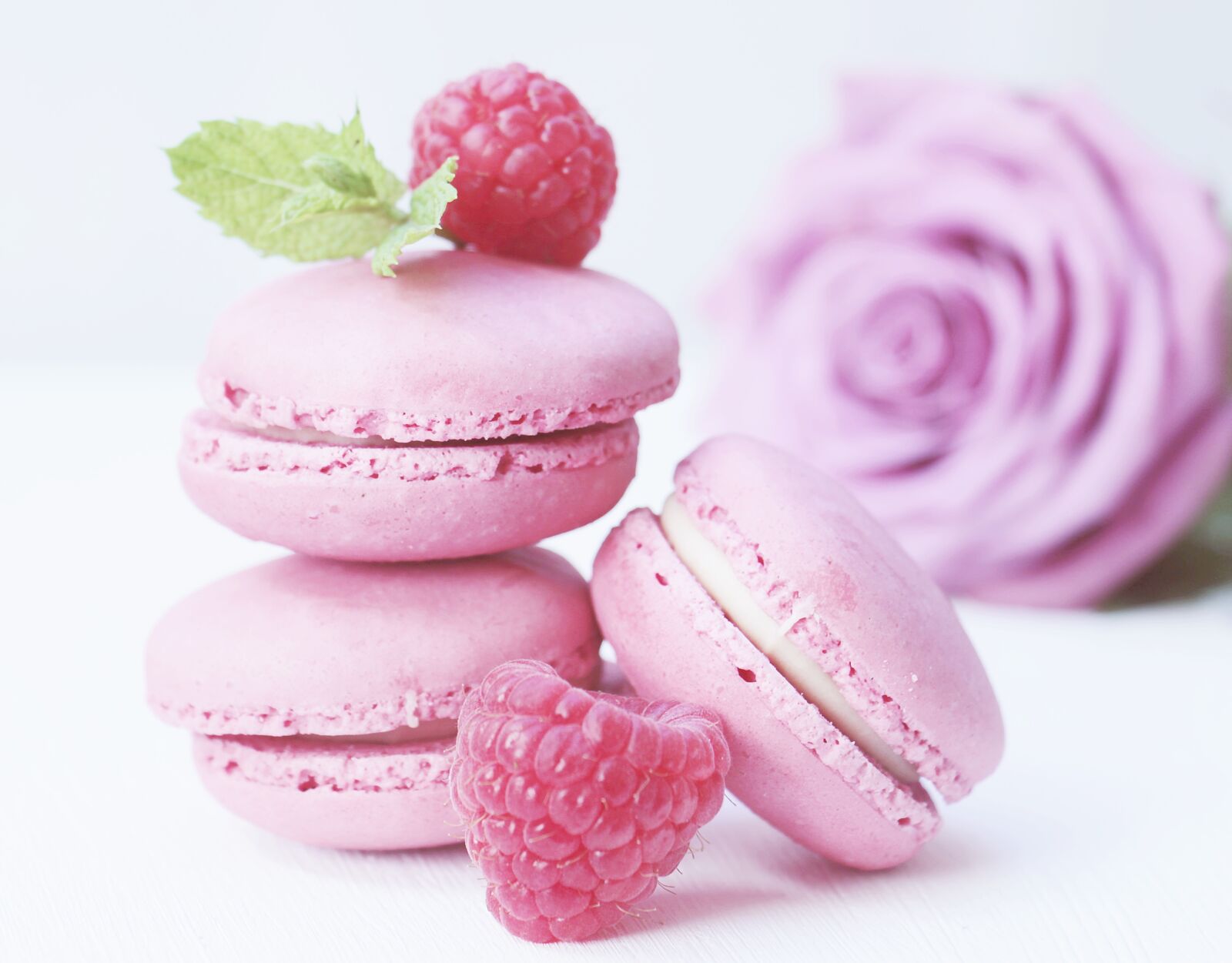 Canon EOS 100D (EOS Rebel SL1 / EOS Kiss X7) sample photo. Macarons, rose, rose bloom photography