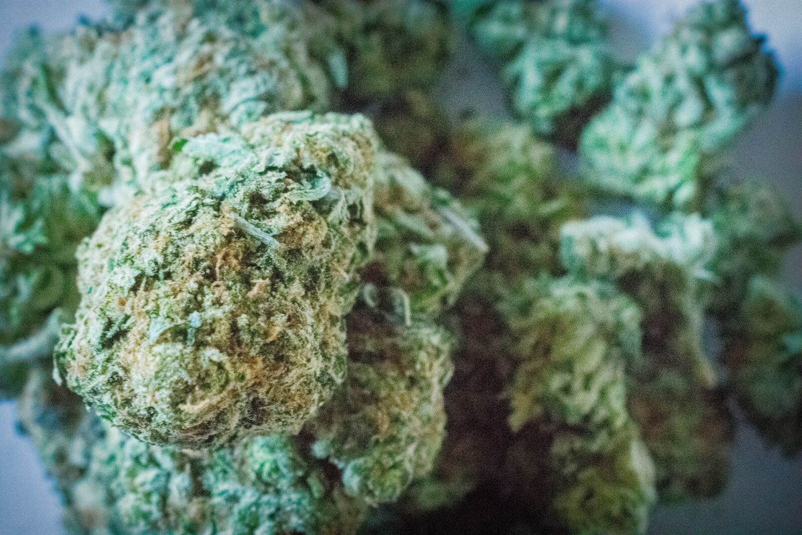 Nikon D3400 sample photo. Marijuana, weed, cannabis photography
