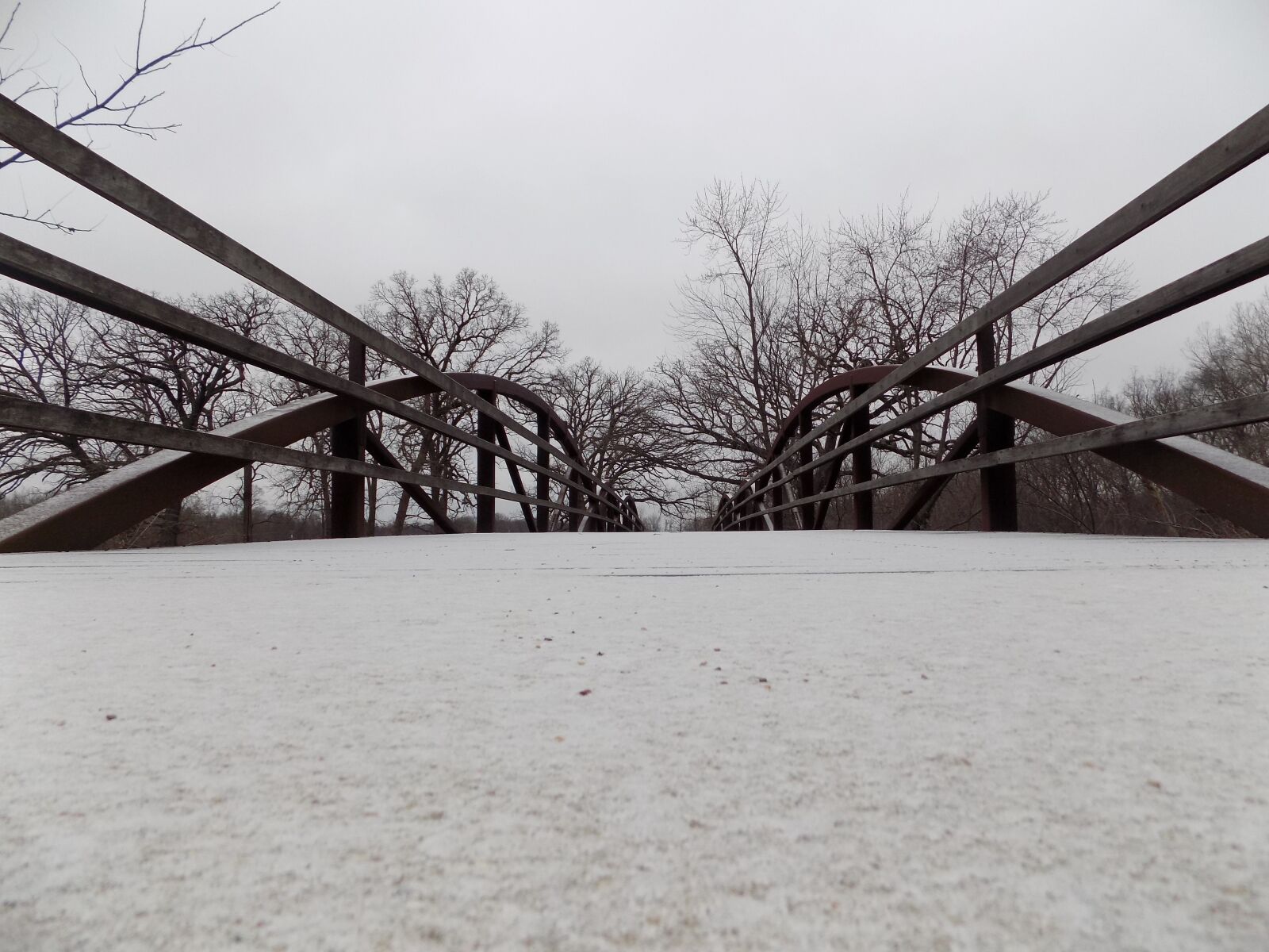 Nikon COOLPIX L340 sample photo. Bridge, snow, walkway photography