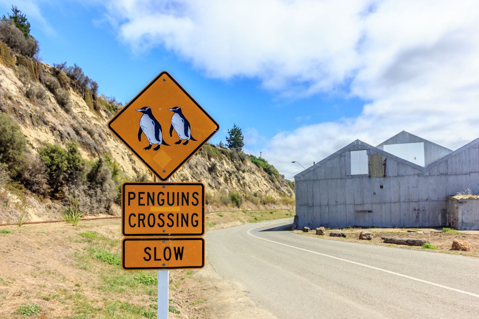 Canon EOS 600D (Rebel EOS T3i / EOS Kiss X5) sample photo. Penguins, sign, penguins crossing photography