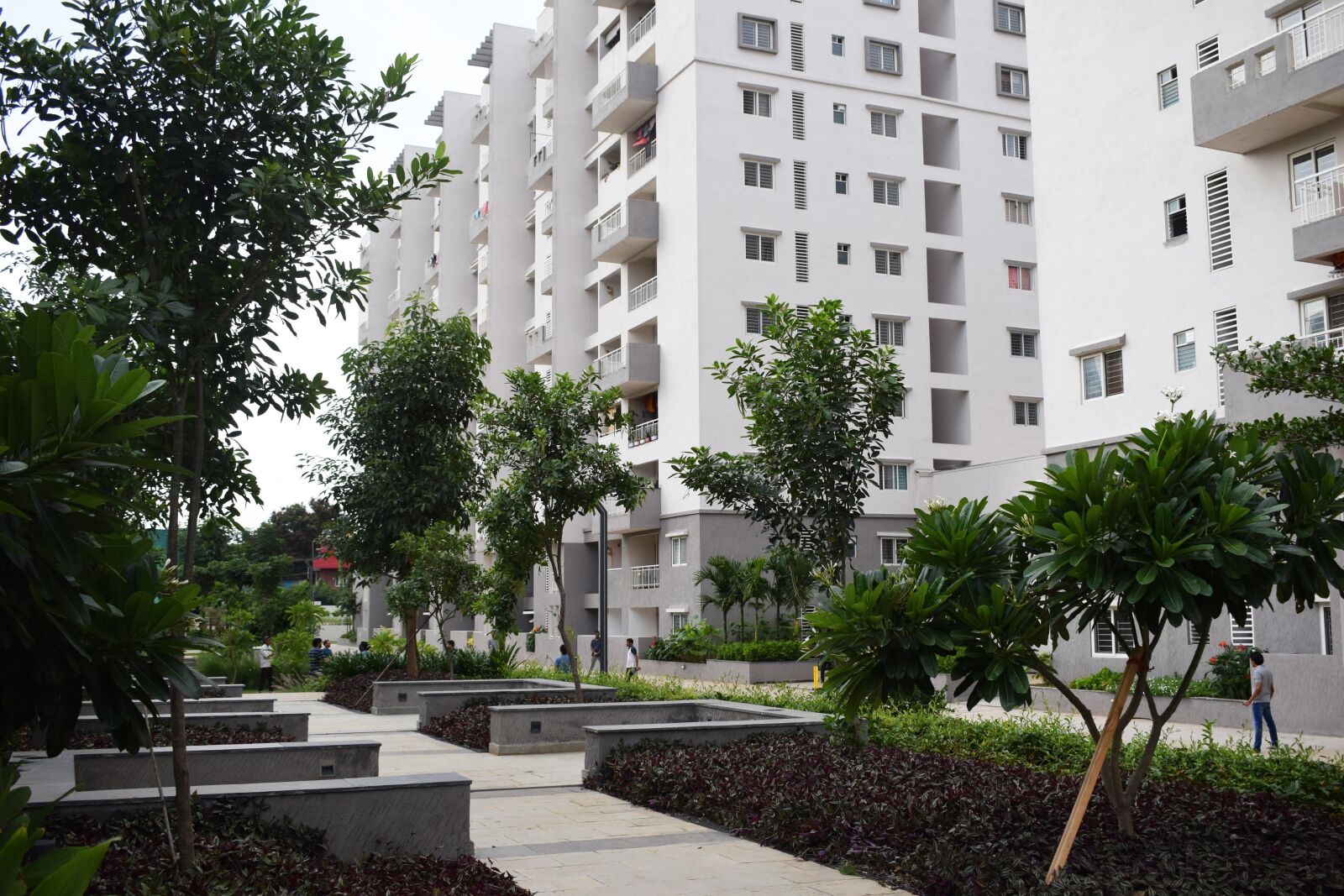 Nikon D3300 sample photo. Apartments, in, electroniccity photography