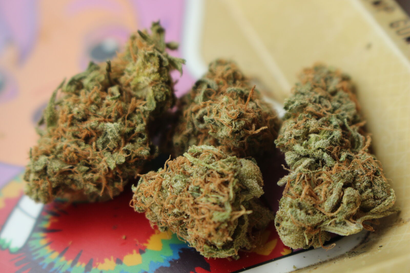 Canon EOS 700D (EOS Rebel T5i / EOS Kiss X7i) sample photo. 420, 710, cannabis, ganja photography