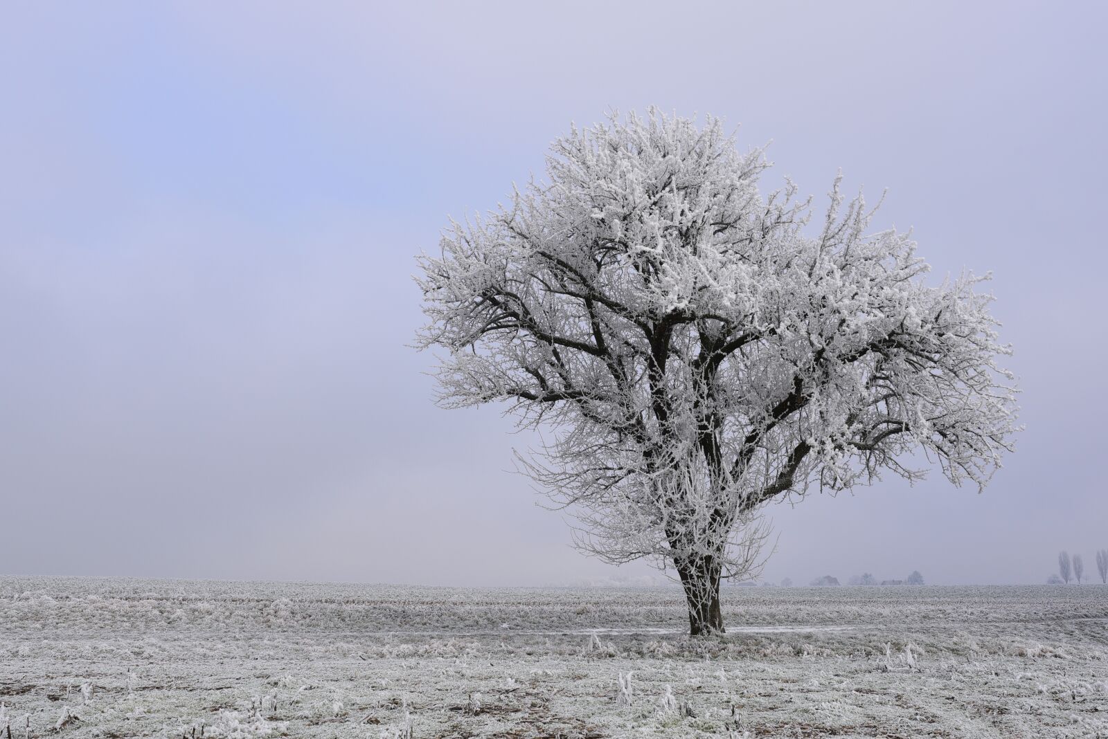 Nikon D750 sample photo. Winter, ice, snow photography