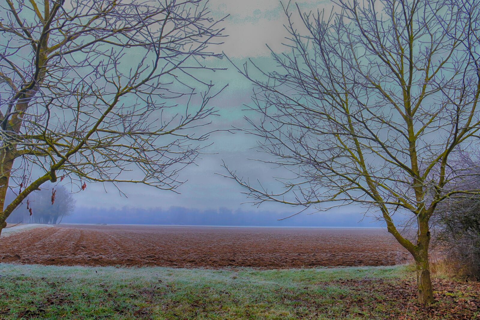 Canon EOS 70D sample photo. Landscape, winter, jelly photography