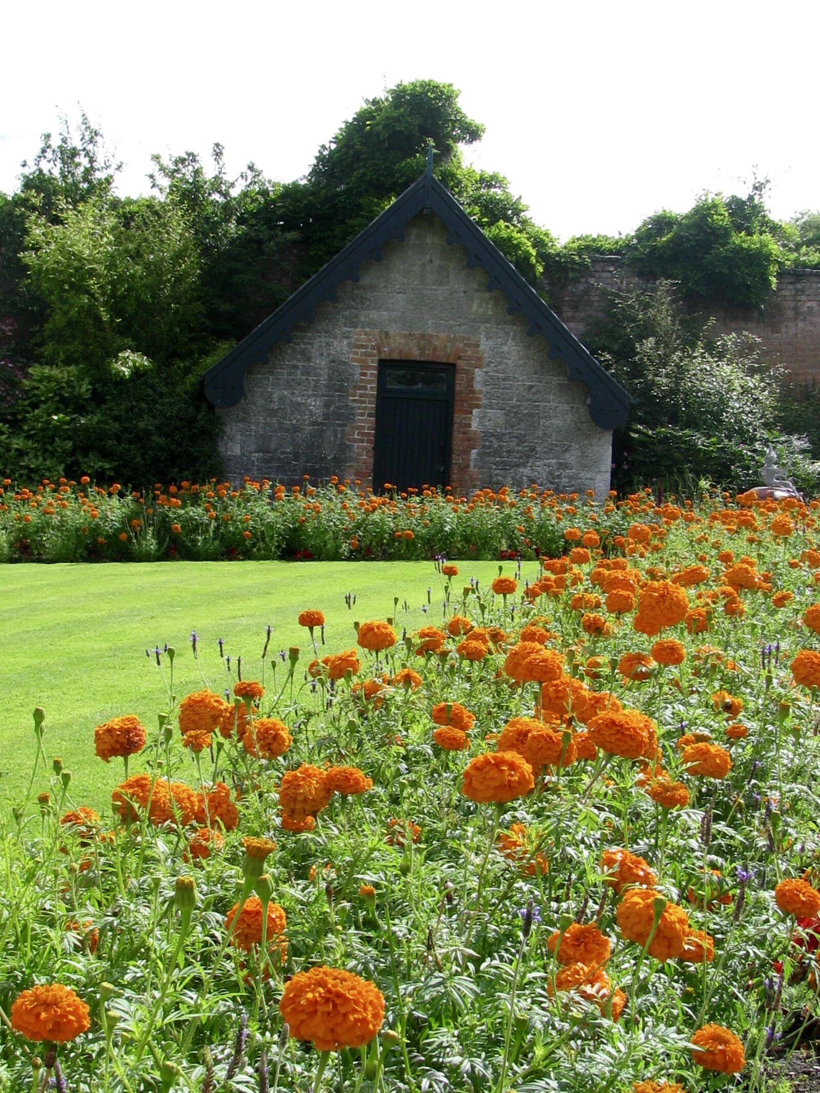 Canon POWERSHOT SX100 IS sample photo. Ireland, castle, garden photography