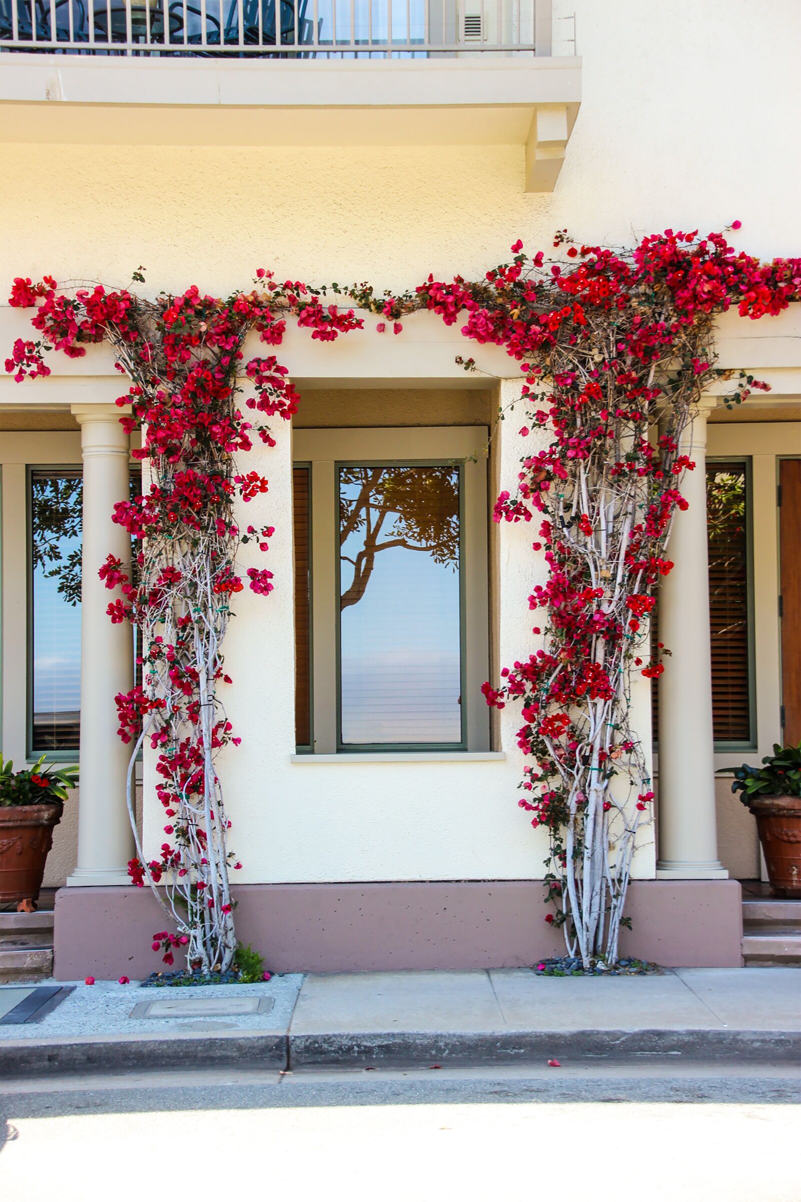 Canon EOS 600D (Rebel EOS T3i / EOS Kiss X5) sample photo. Bougainvillea, flower, nature photography
