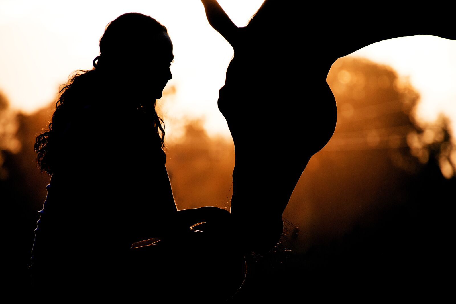 Nikon D3300 sample photo. Horse, human, animal photography