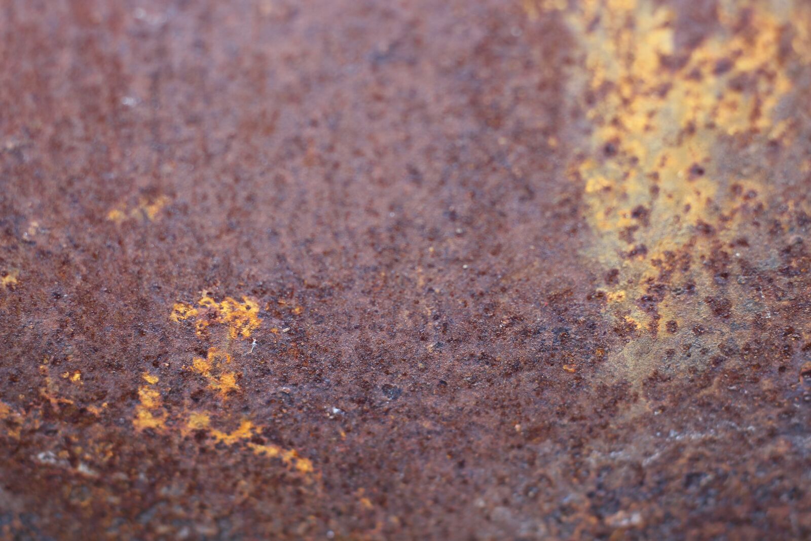 Canon EF 50mm F1.4 USM sample photo. Rust, texture, bronze photography