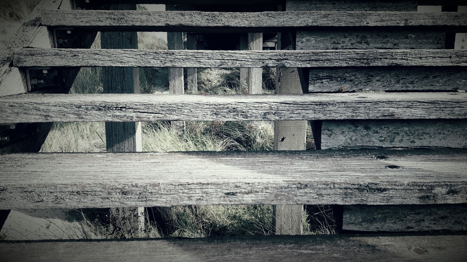 Samsung Galaxy S5 Neo sample photo. Wooden, stairs, summer photography