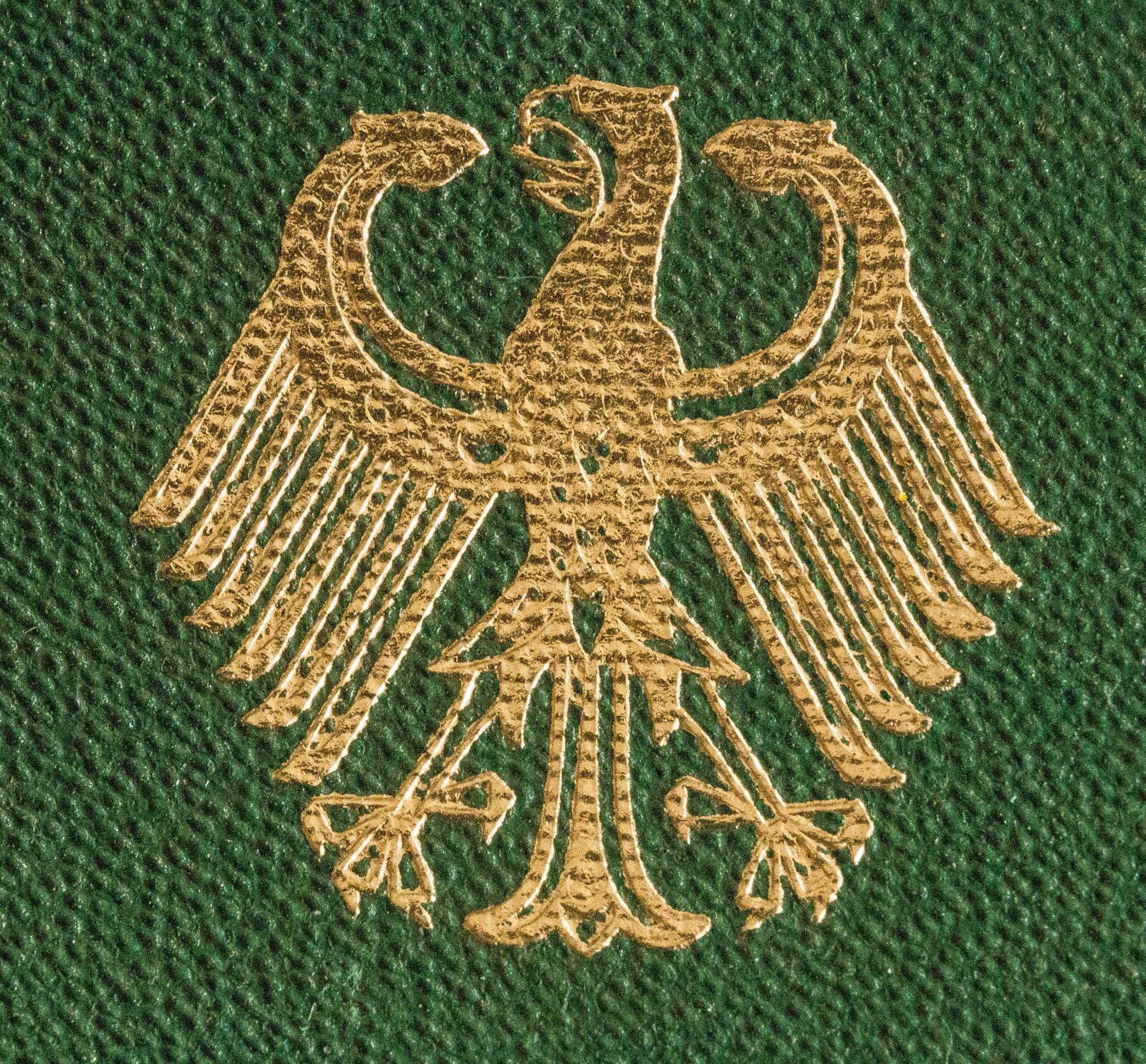 Canon EOS 650D (EOS Rebel T4i / EOS Kiss X6i) sample photo. Germany, adler, heraldic animal photography
