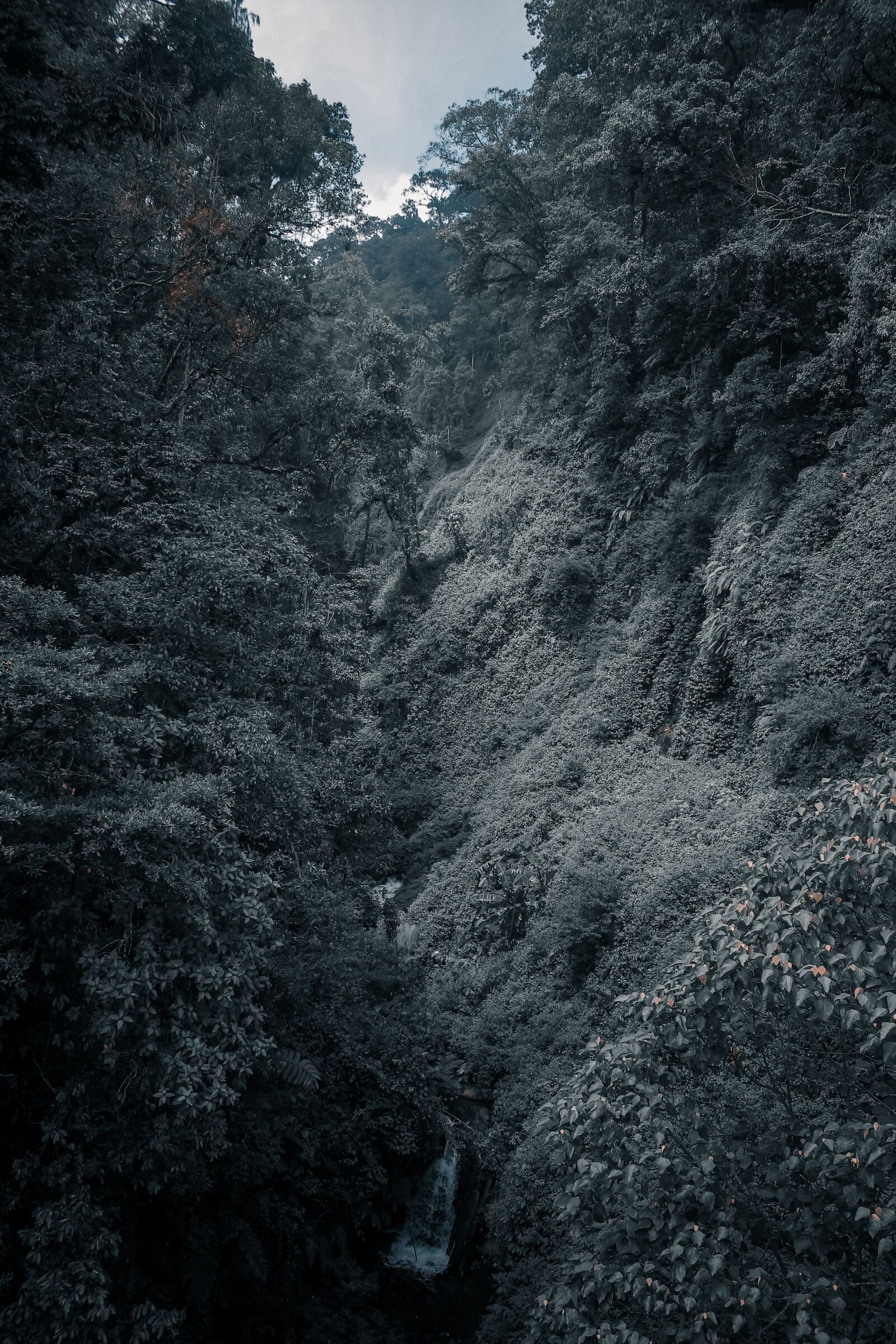 Canon EOS 700D (EOS Rebel T5i / EOS Kiss X7i) sample photo. Panorama, cangar, mojokerto photography