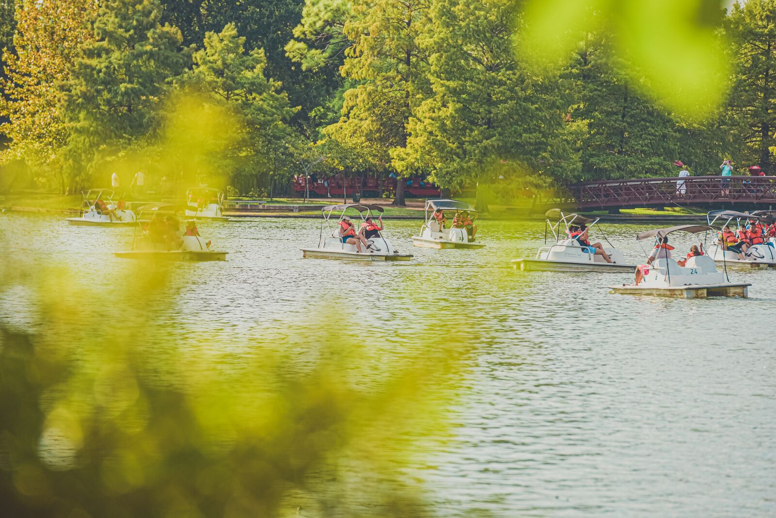 Nikon D750 sample photo. Paddle boats, water, fun photography