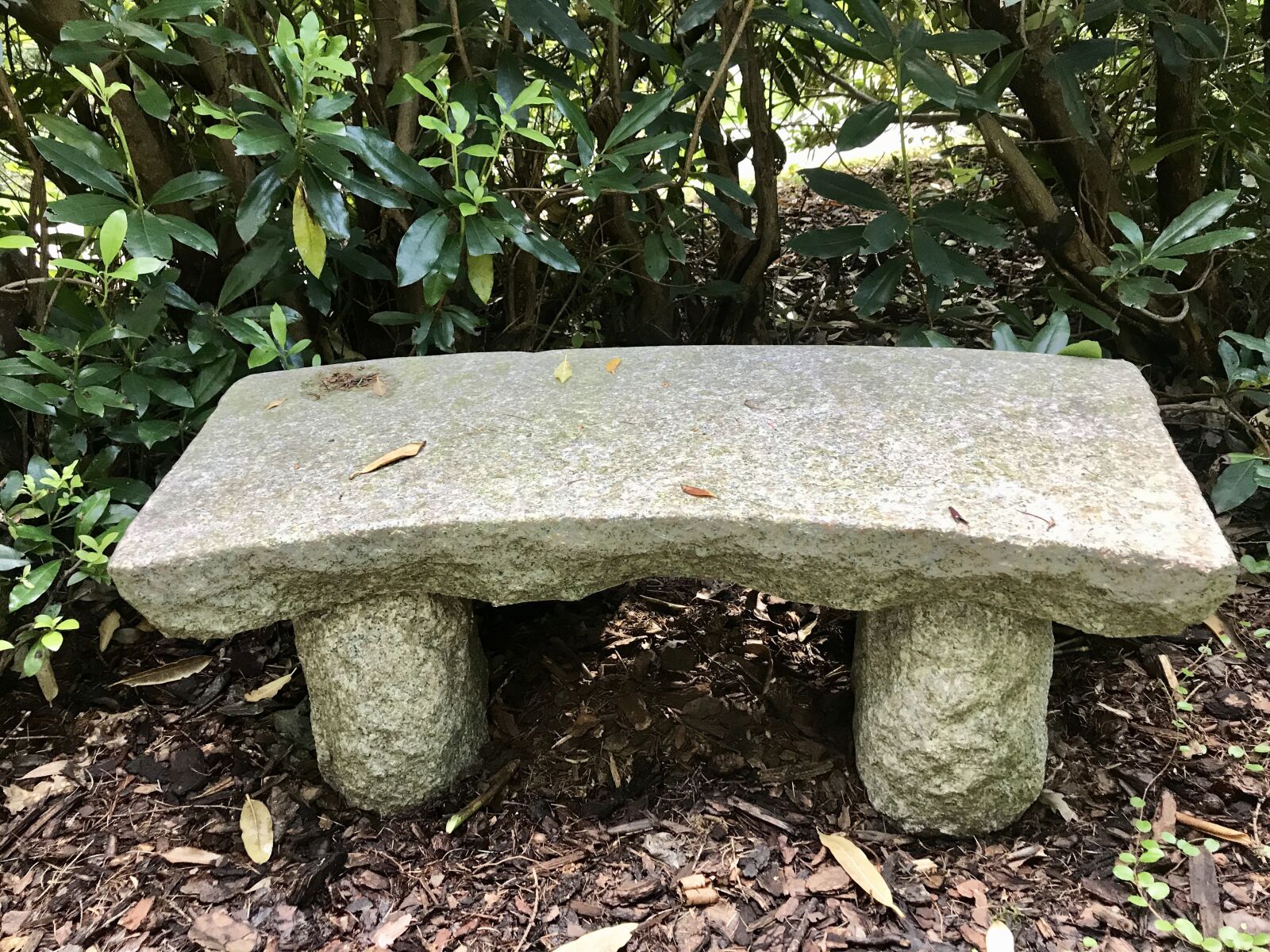 iPhone 7 back camera 3.99mm f/1.8 sample photo. Stone bench, bank, rest photography