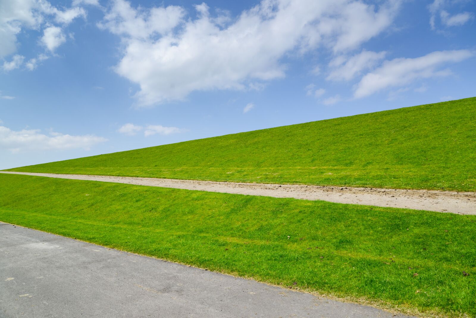 Nikon D610 sample photo. Dike, dutch, green photography
