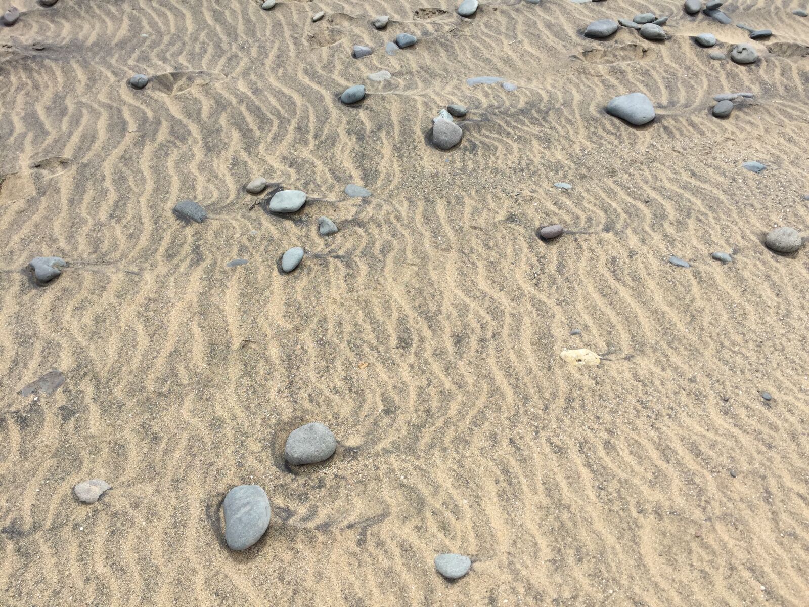 Apple iPhone 6 sample photo