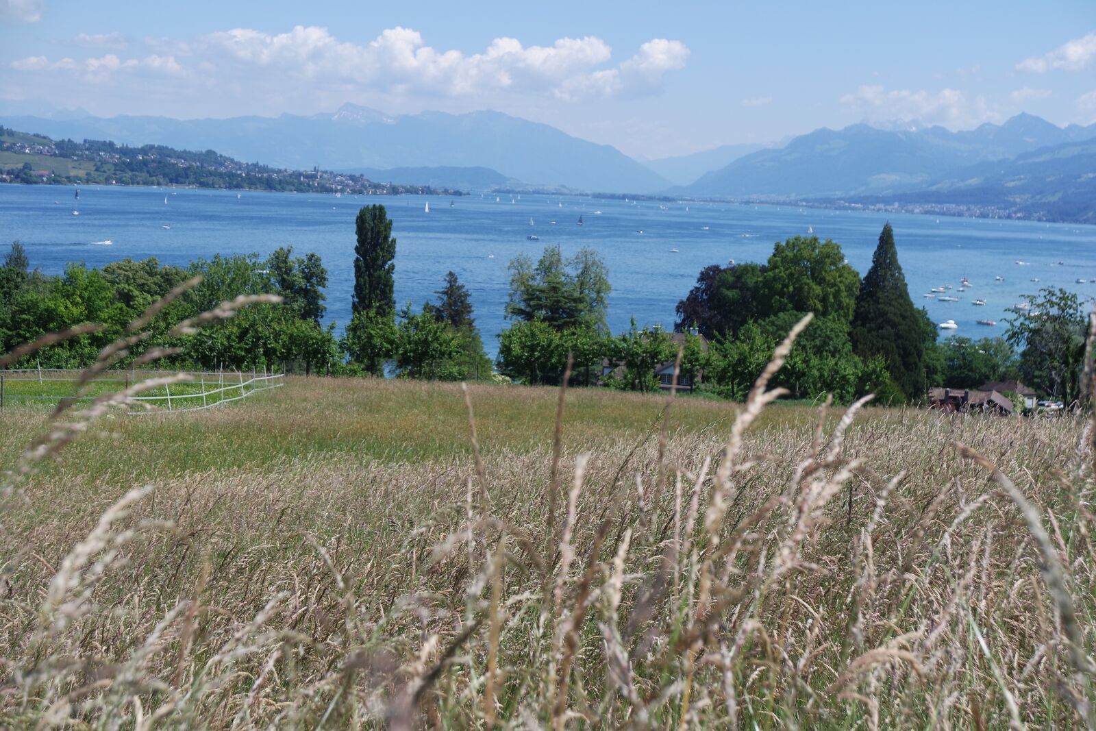 Samsung NX3000 sample photo. Zurich, peninsula au, lake photography