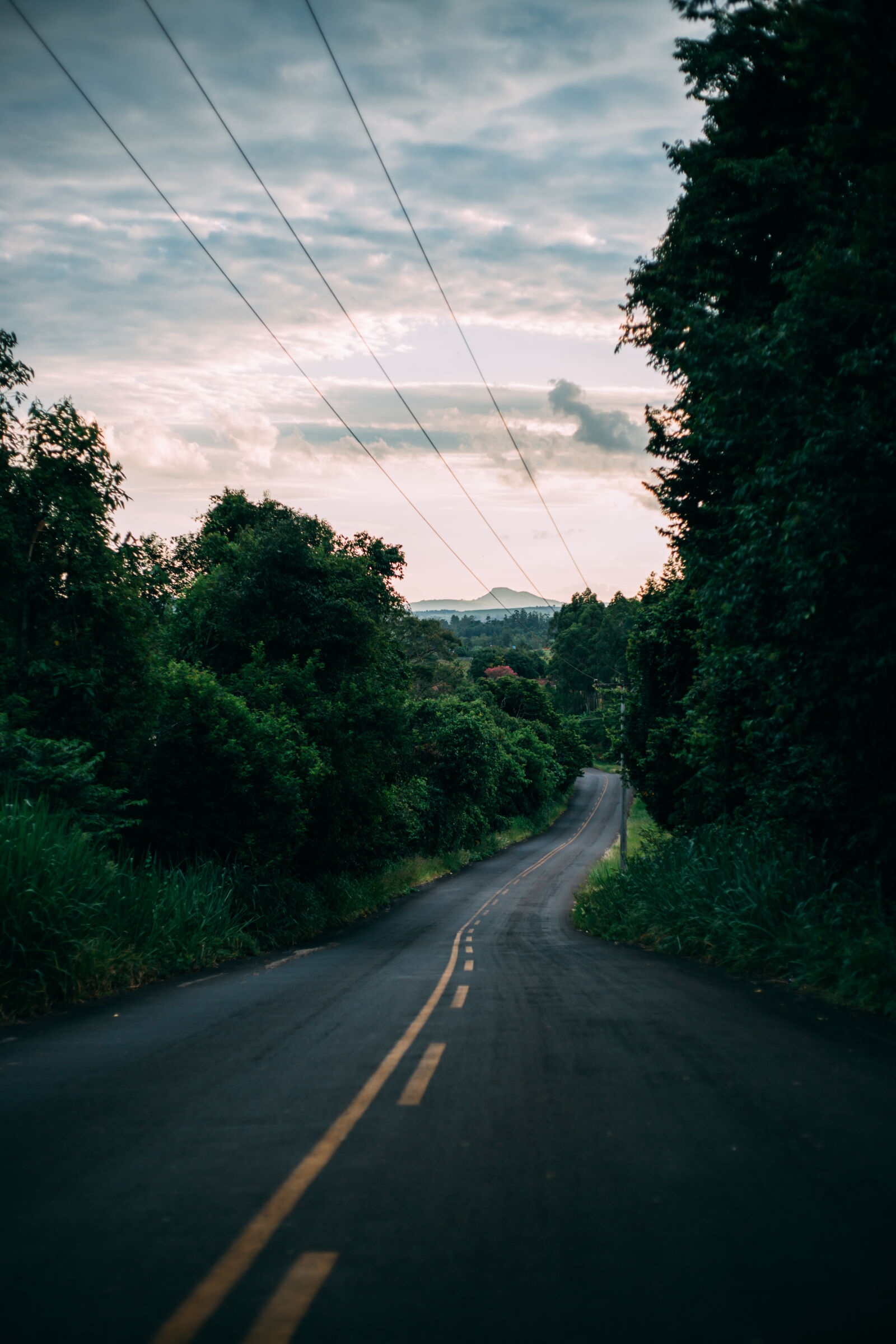 Canon EOS 6D + Canon EF 50mm F1.8 II sample photo. Road, tarmac, forest, trees photography