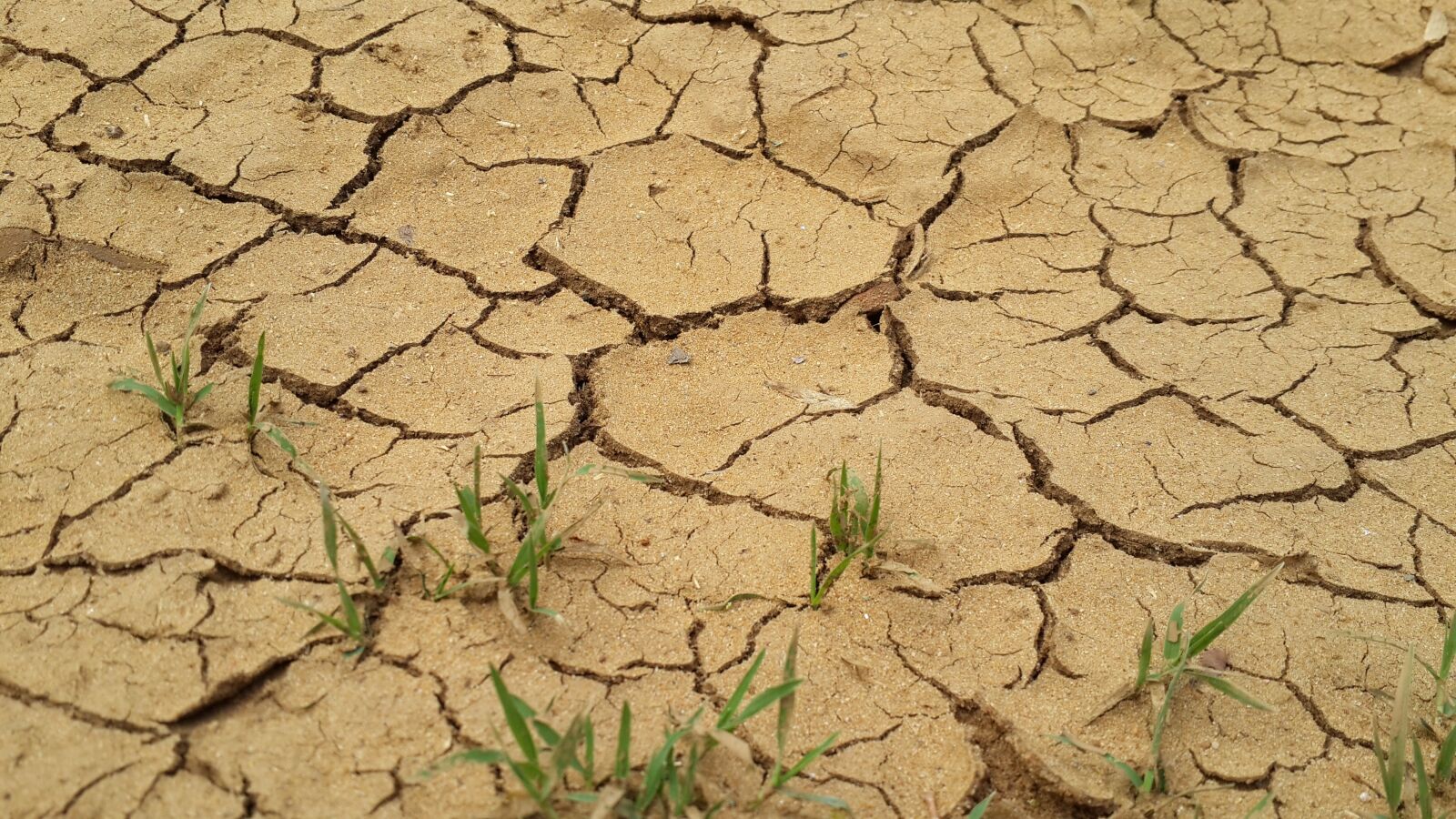 Samsung Galaxy S4 sample photo. Drought, gravel, ground photography