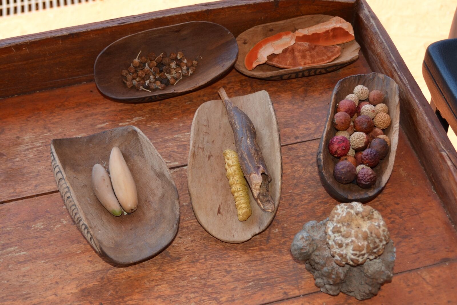 Nikon D5100 sample photo. Desert bush tucker, food photography