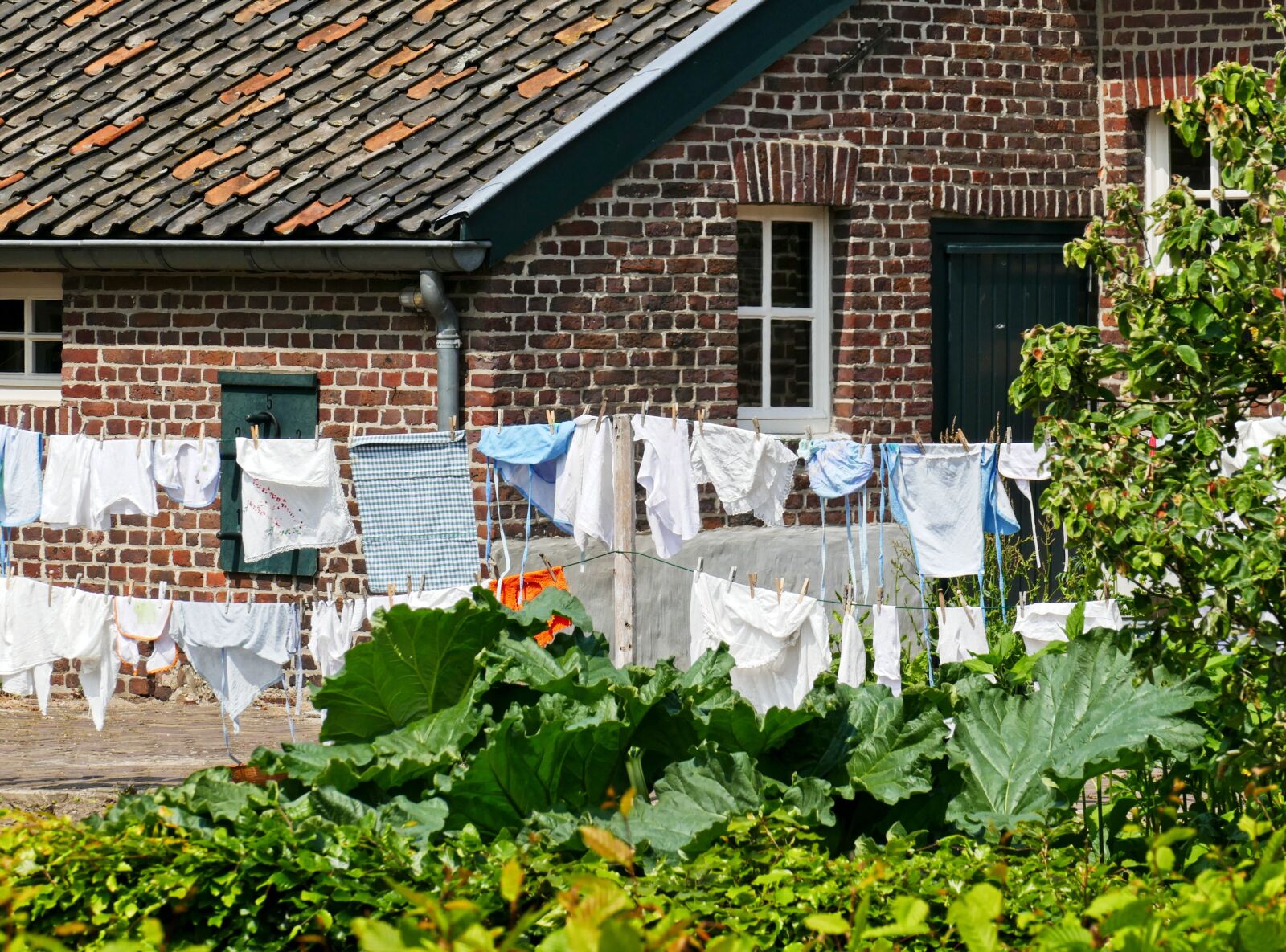 Panasonic Lumix DMC-FZ1000 sample photo. Was, clothesline, farm photography