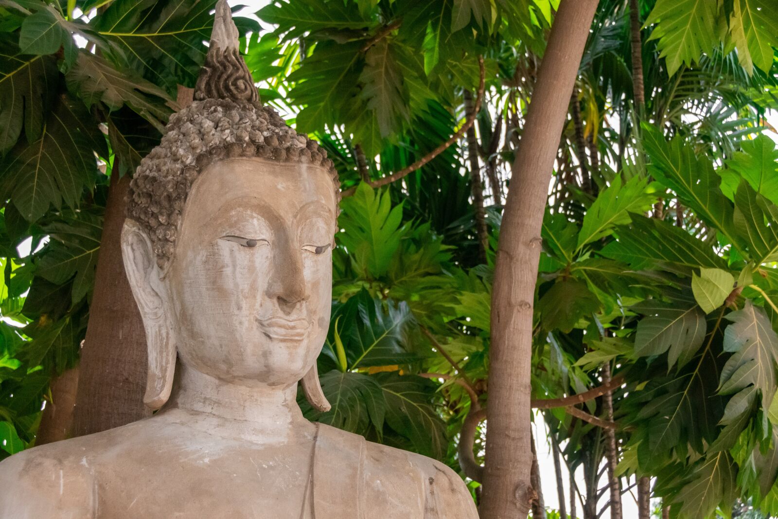 Nikon D5600 sample photo. Buddha, statue, meditation photography