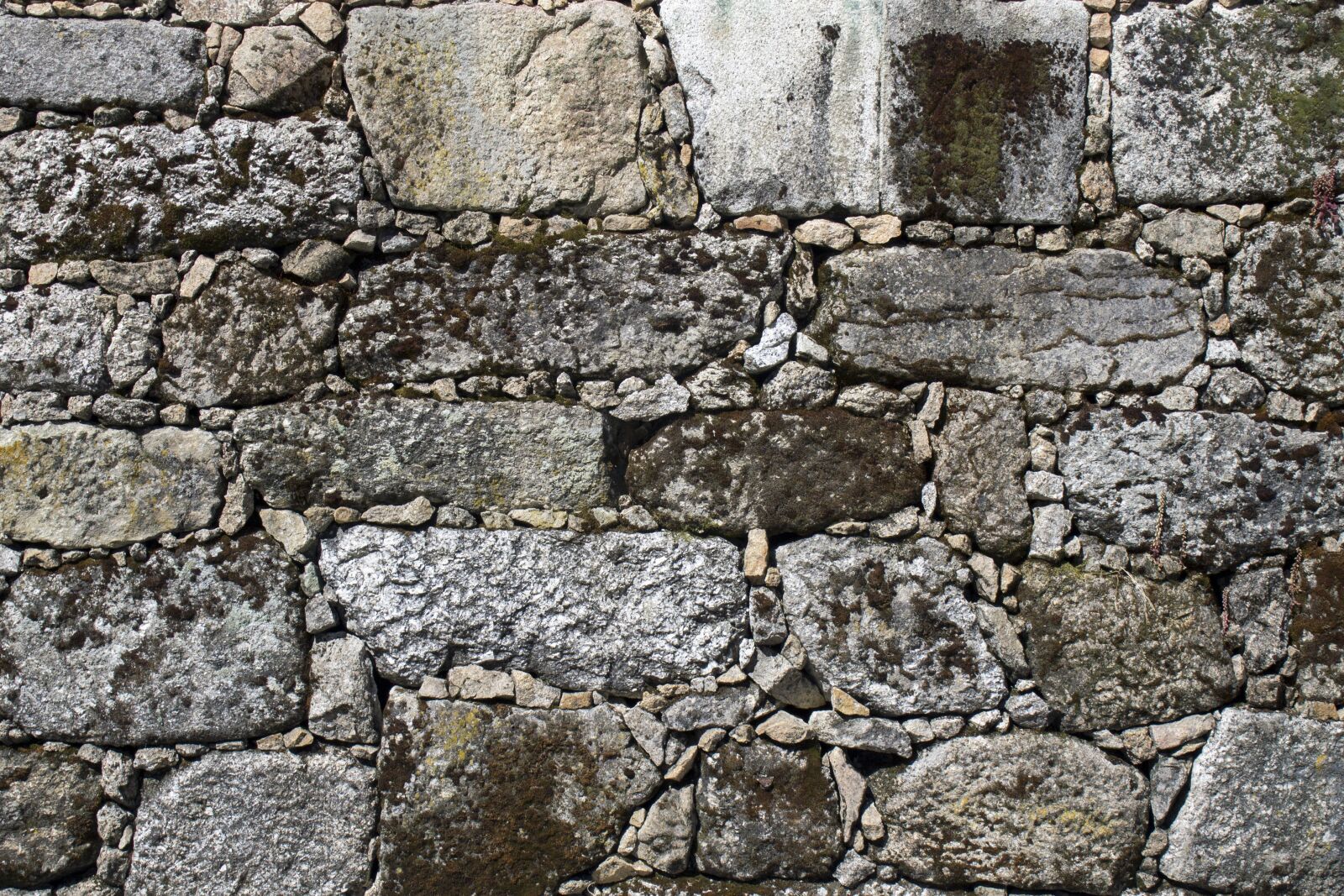 Canon EOS 1100D (EOS Rebel T3 / EOS Kiss X50) sample photo. Rocks, texture, wall photography