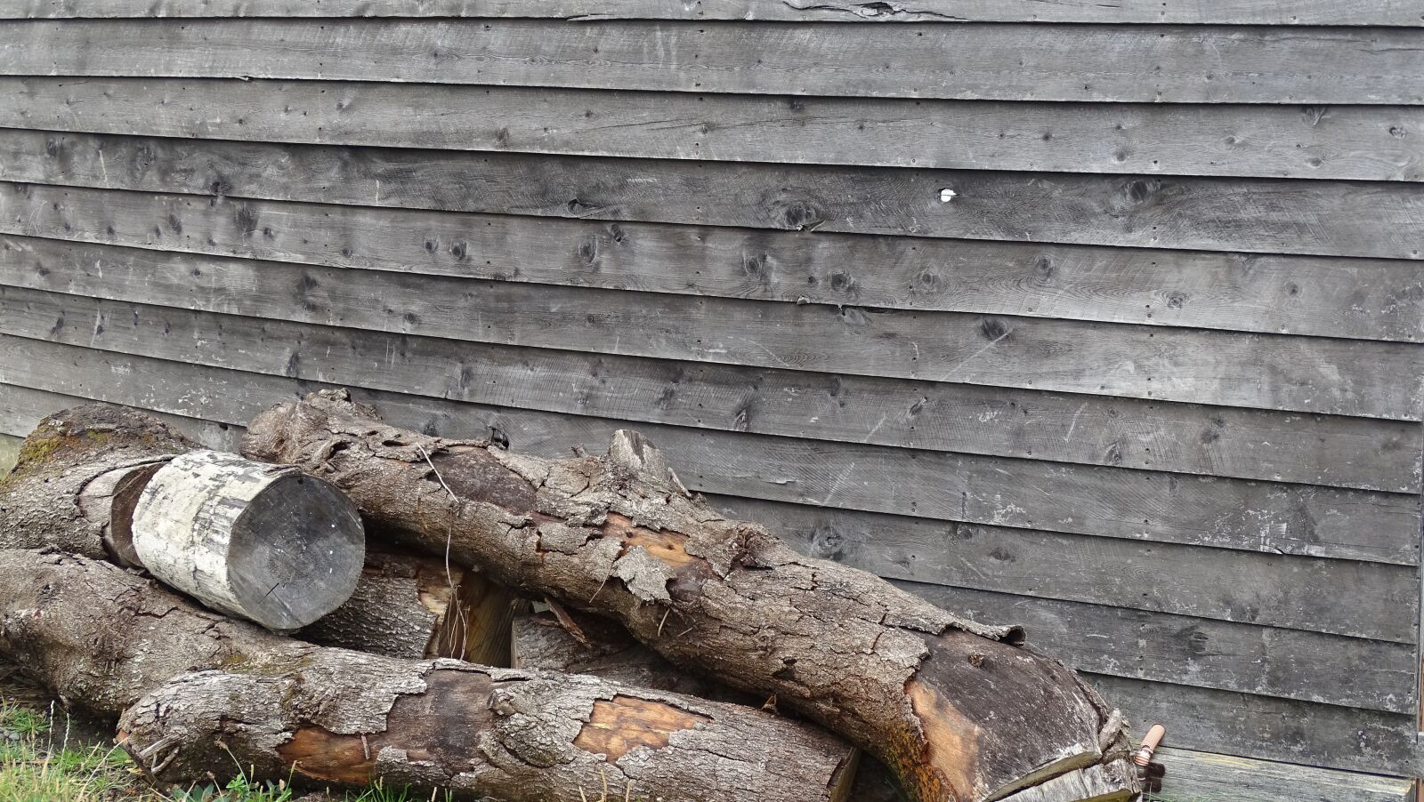 Sony Cyber-shot DSC-HX350 sample photo. Logs, siding, house photography