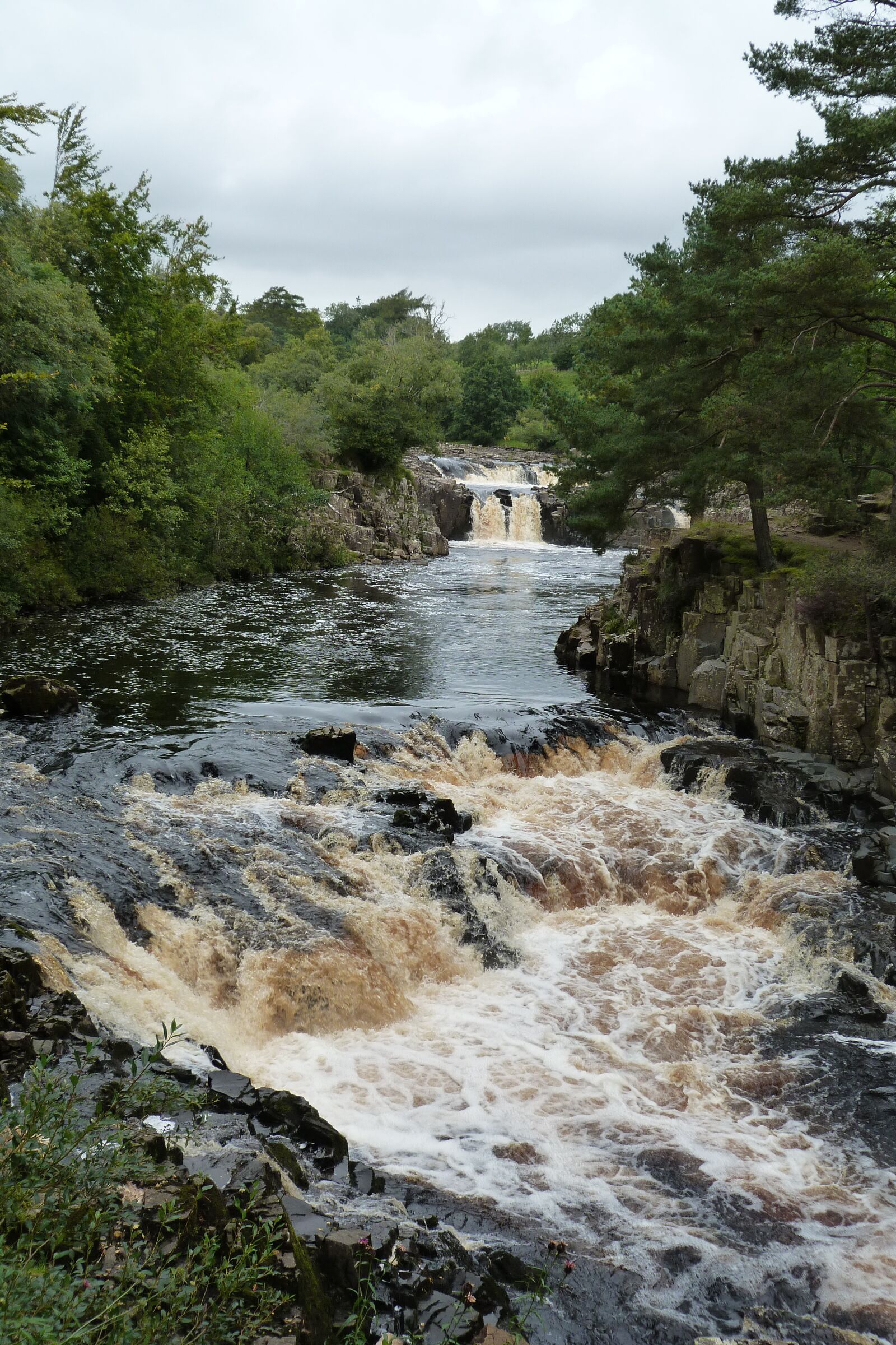 Panasonic Lumix DMC-FZ40 (Lumix DMC-FZ45) sample photo. River, tees, low force photography