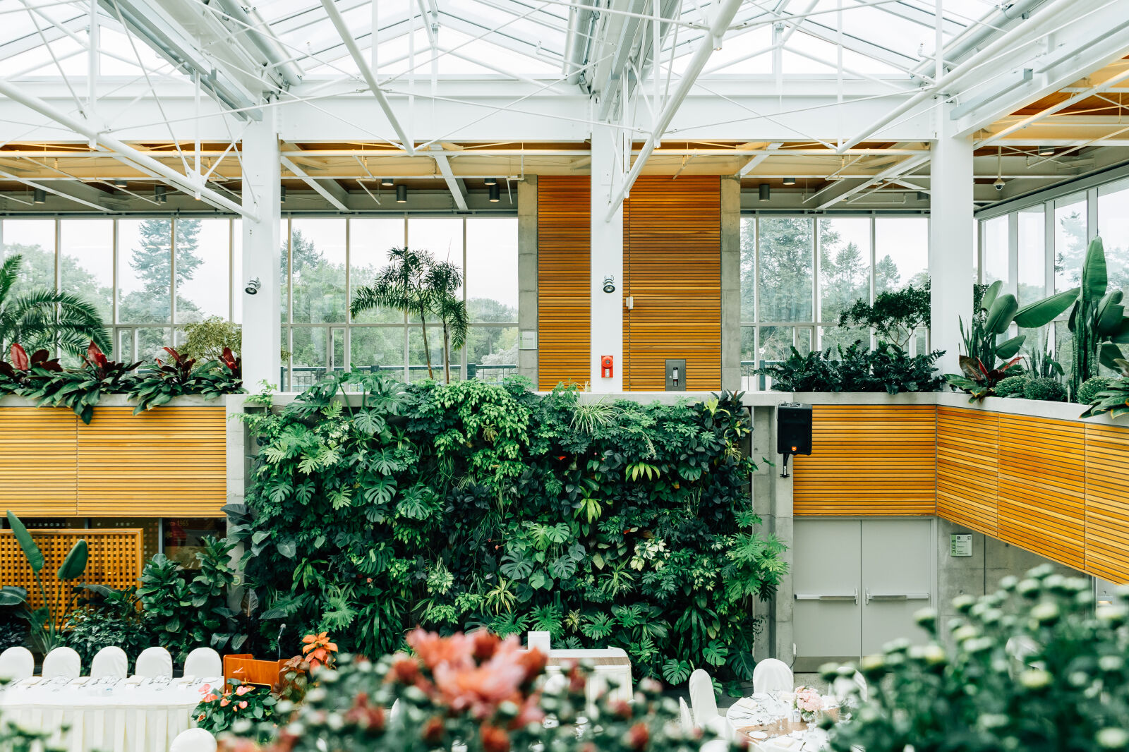Sony a7 II + Sony FE 28-70mm F3.5-5.6 OSS sample photo. Architectural, design, botanical, design photography