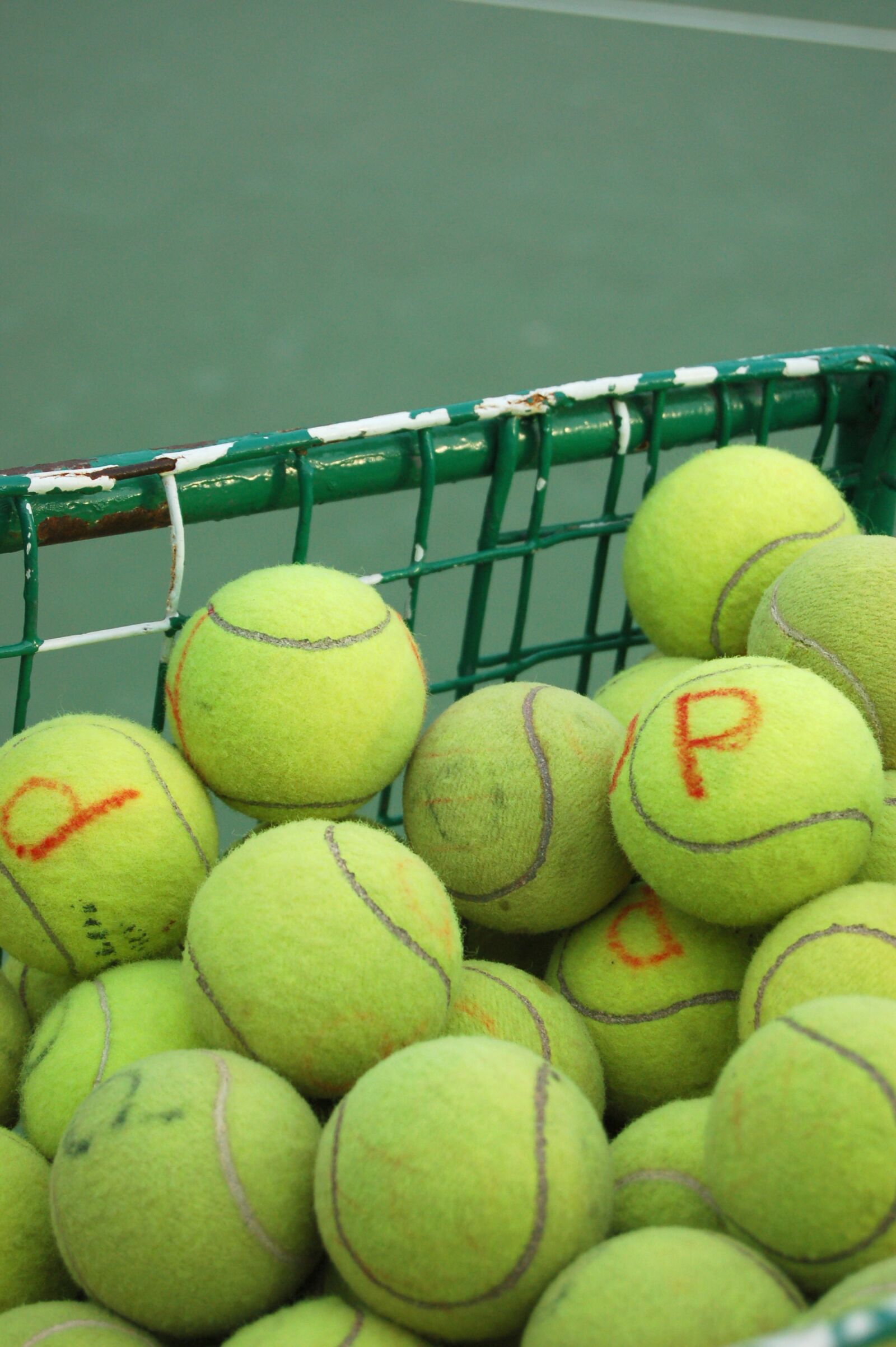 Nikon D50 sample photo. Ball, tennis, green photography