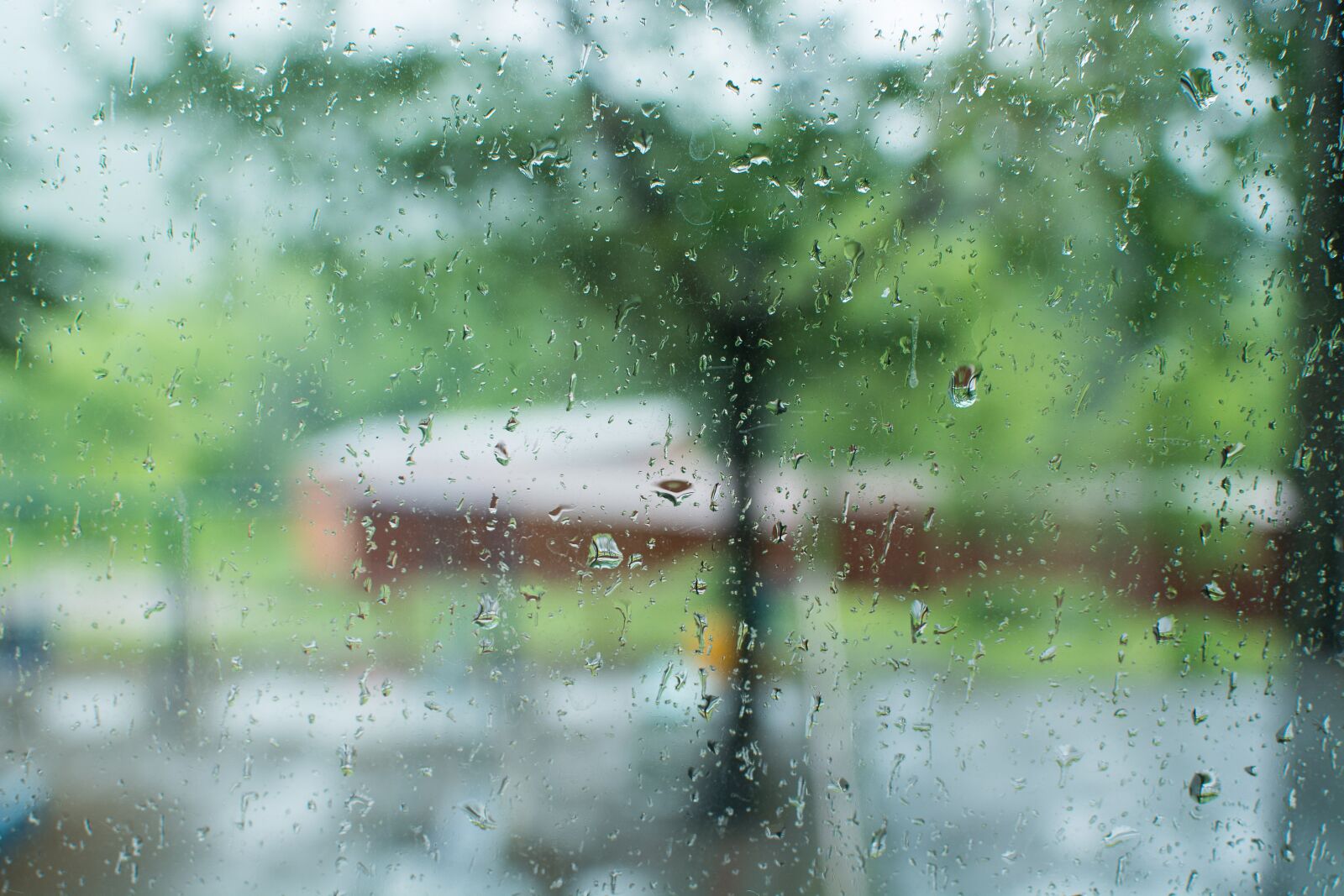 Nikon D7100 sample photo. Rain, drops, drops on photography