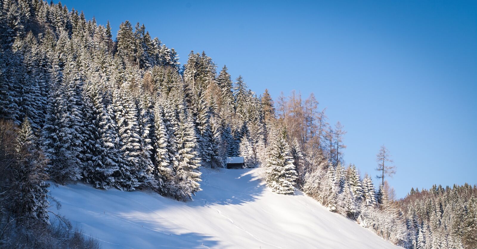 Nikon D7100 sample photo. Landscape, winter, snow photography