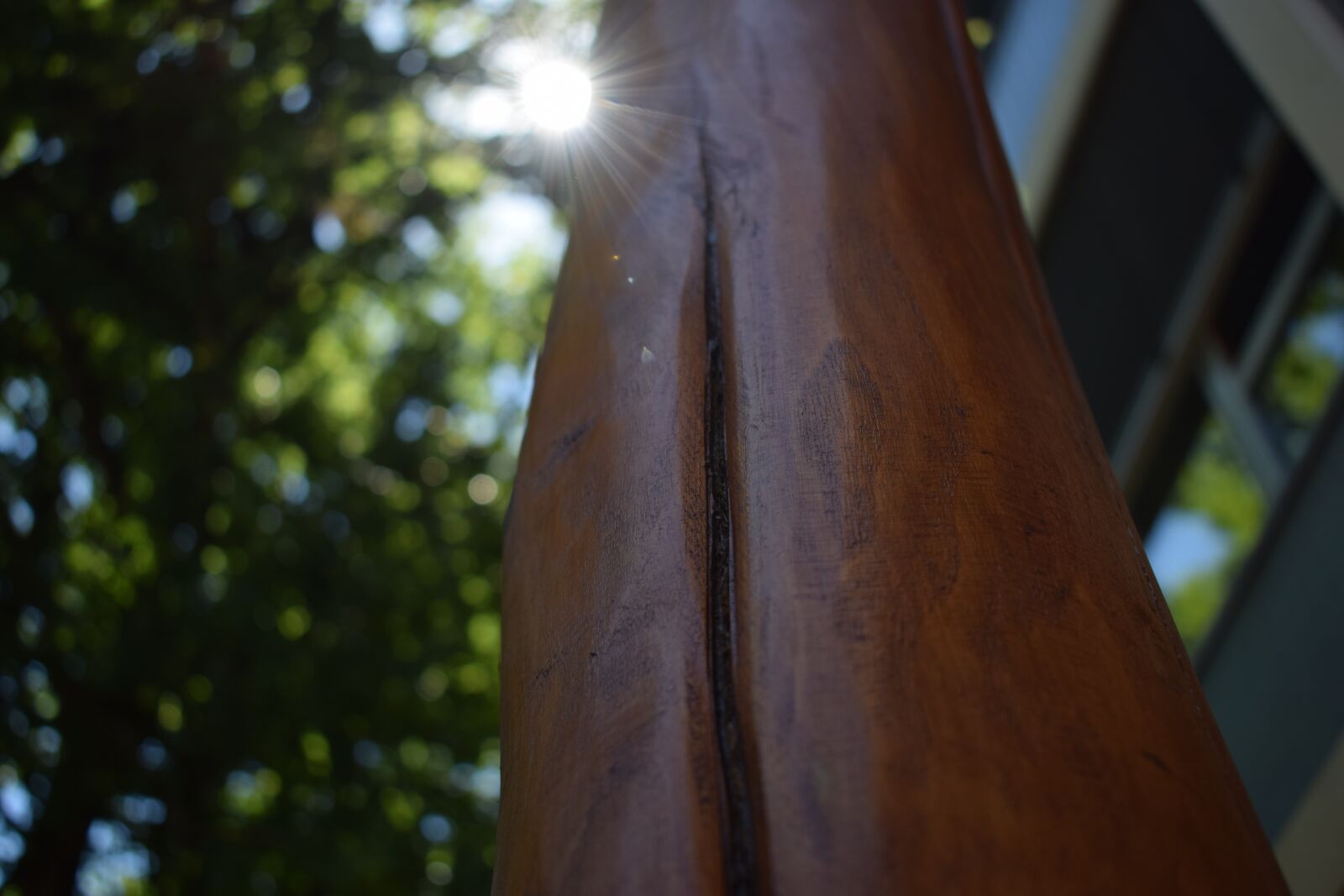 Nikon D3300 sample photo. Sun, tribe, wood photography