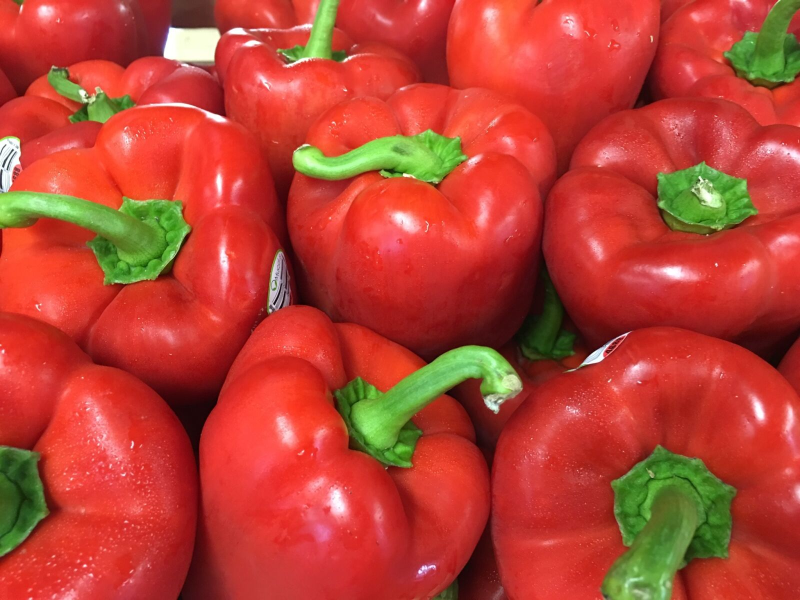 Apple iPhone 6s Plus sample photo. Peppers, red, red peppers photography