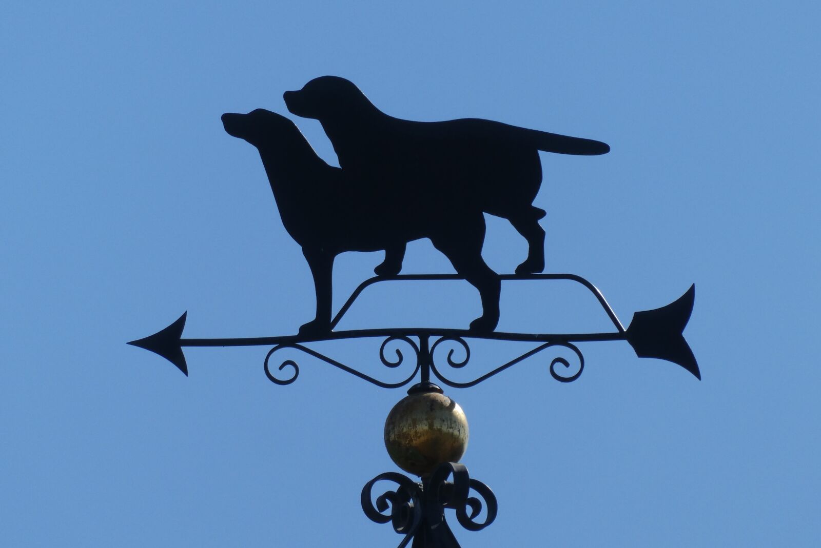 Panasonic Lumix DC-ZS70 (Lumix DC-TZ90) sample photo. Weather vane, wind, metal photography