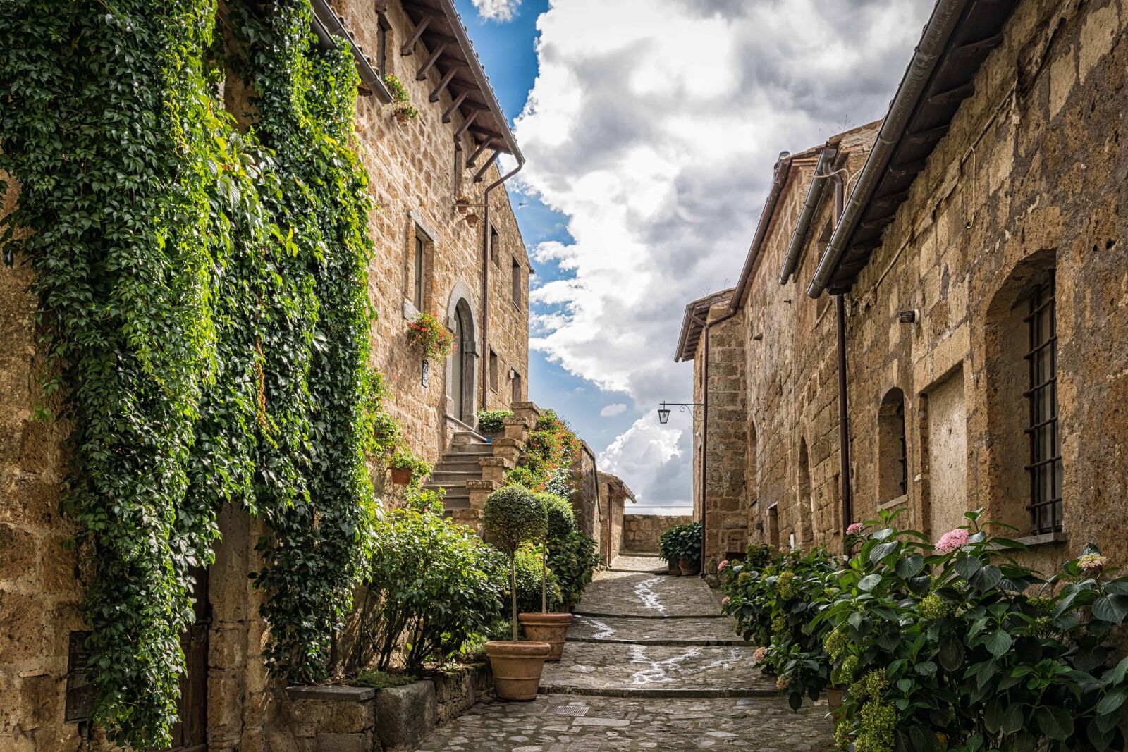 Nikon D3300 sample photo. Street, house, stone, plant photography
