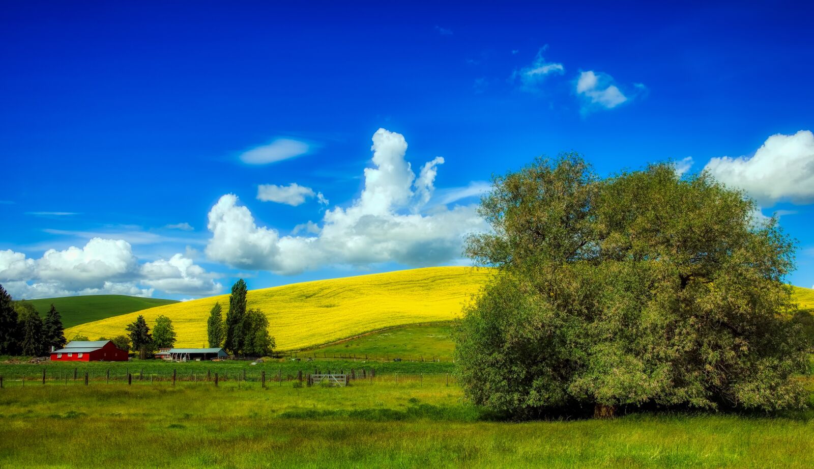 Canon EOS-1Ds Mark II sample photo. Idaho, america, farm photography