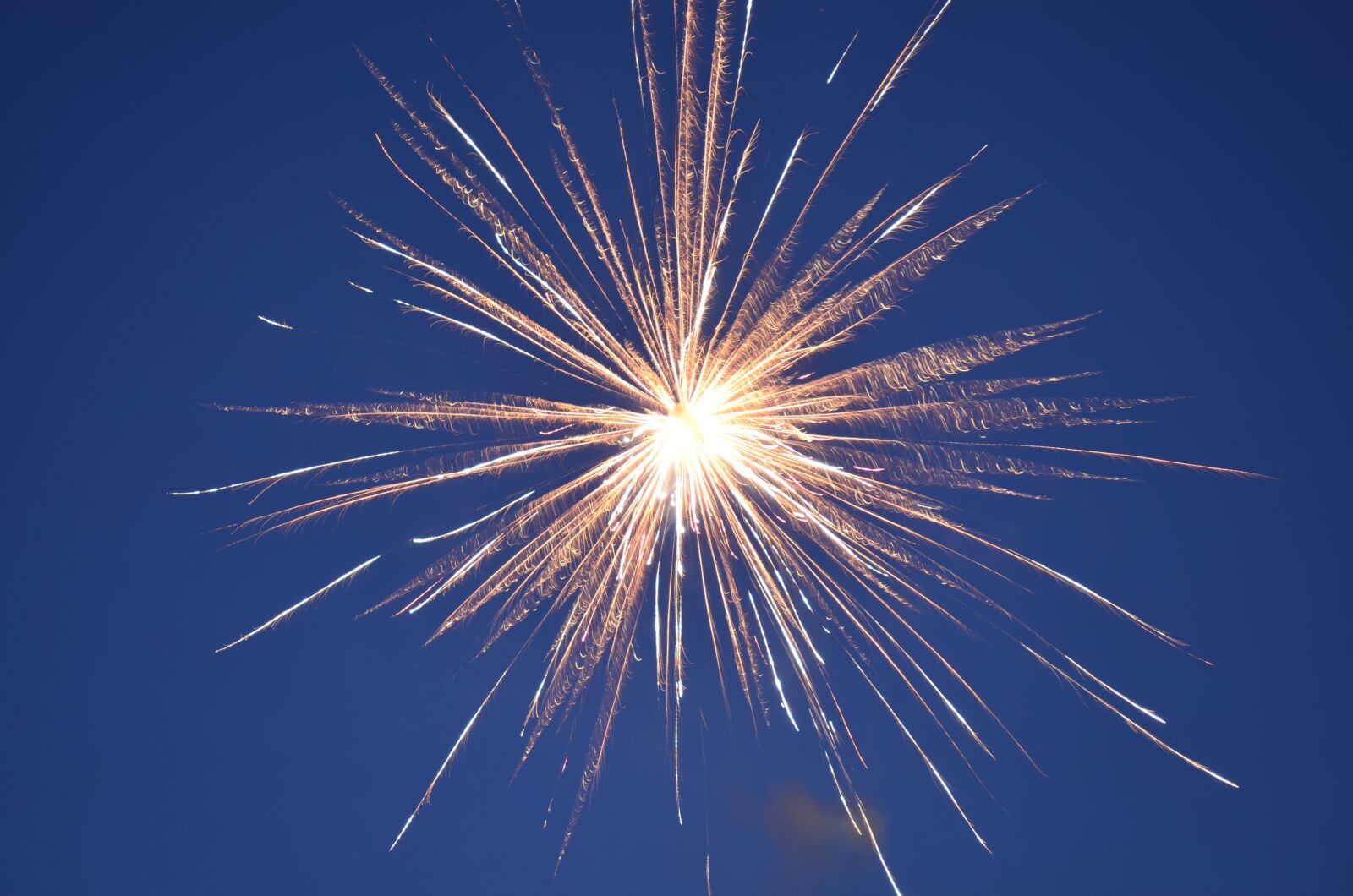 Nikon D7000 sample photo. Firework, sky, forth of photography