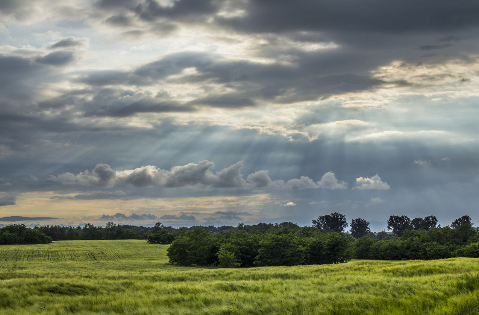 Canon EOS 60D sample photo. Sun, raise, from, the photography