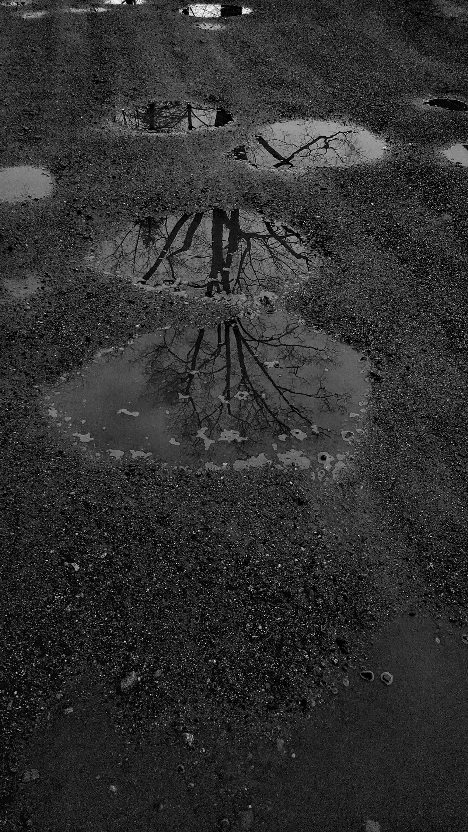 Motorola Moto X (1st Gen) sample photo. Gravel, puddle, reflections, tree photography