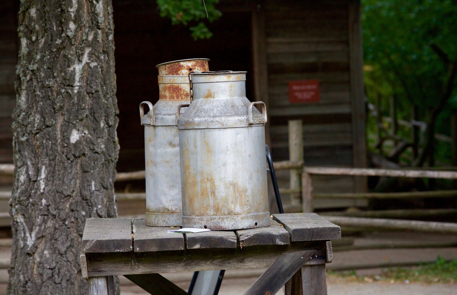Canon EOS 5D Mark III sample photo. Container, milk, former photography